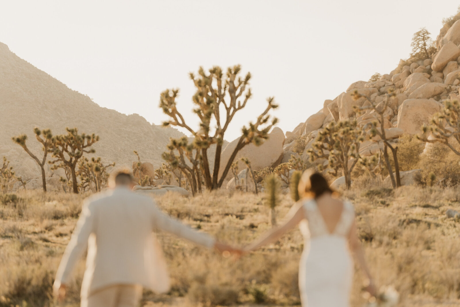 joshua tree elopement photographer-112
