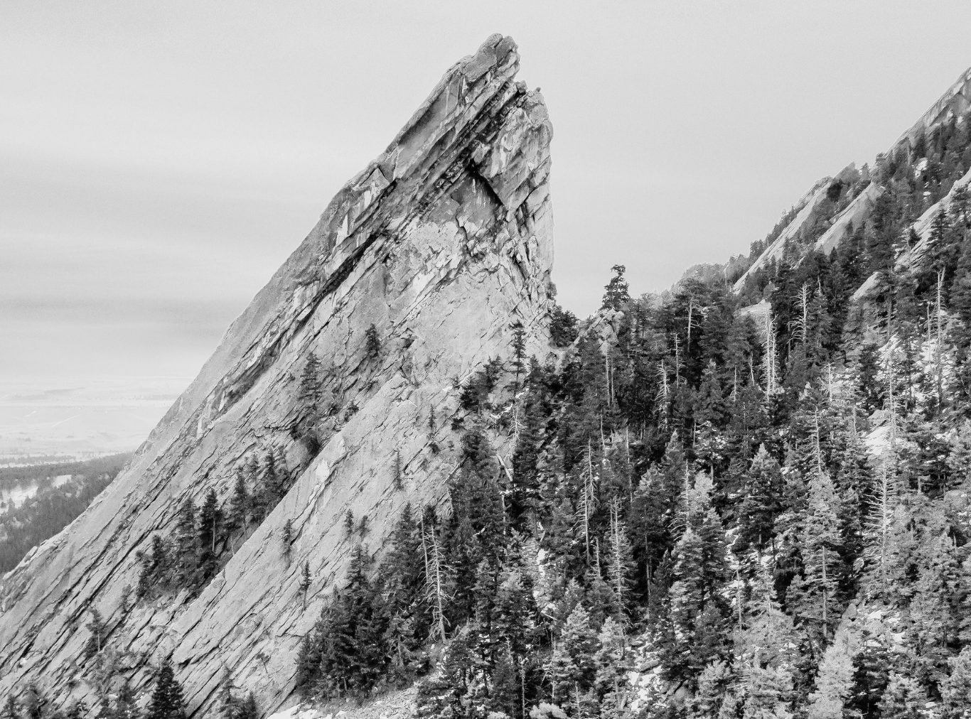 A striking black-and-white view of a steep, jagged rock formation rising above a dense forest of evergreen trees.