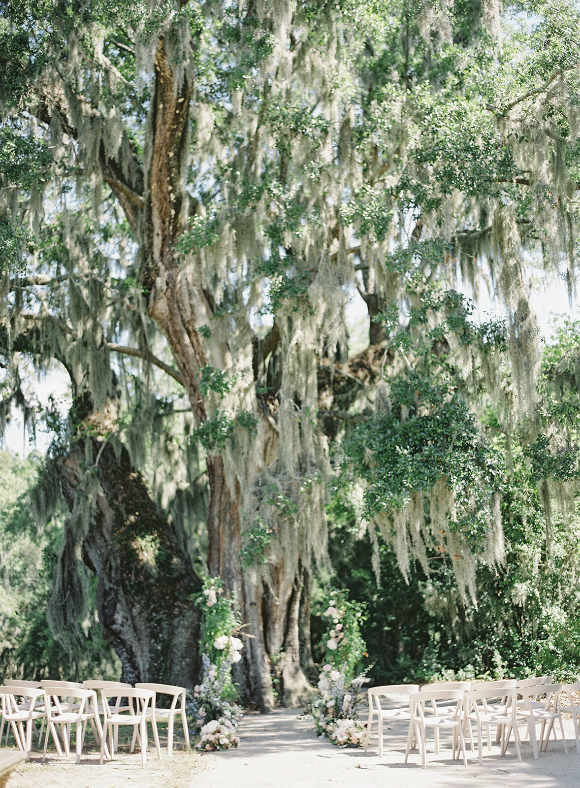 Ceremony site under large oak tree at Middleton Place. Ceremony chairs are modern cream chairs on either side of the aisle. Floral arrangements go down the whole aisle up to two tall towers of floral installations at the front. Photographed by wedding photographers in Charleston Amy Mulder Photography