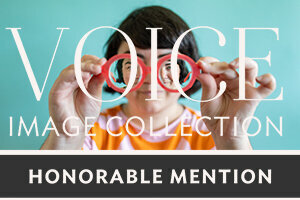 voice honorable mention