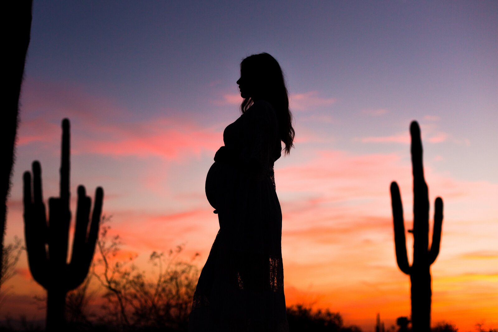 desert silhouette of pregnant woman