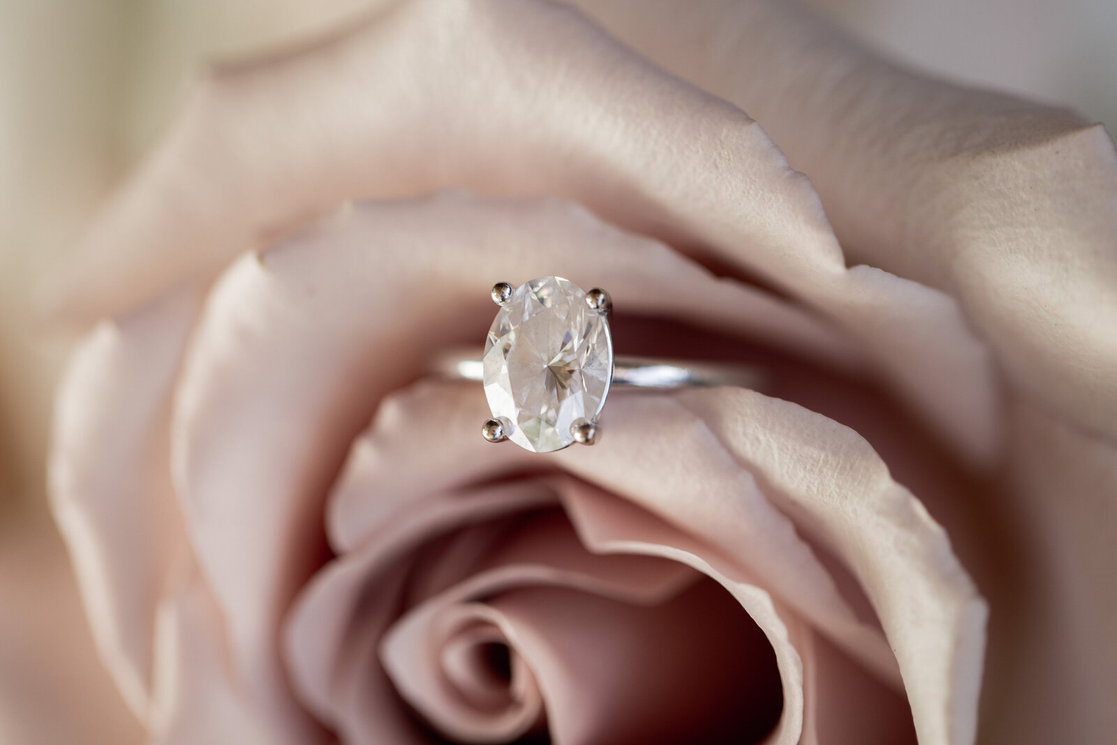 250524-Julia-Harry-Rexvil-Photography-Adelaide-Wedding-Photographer-97