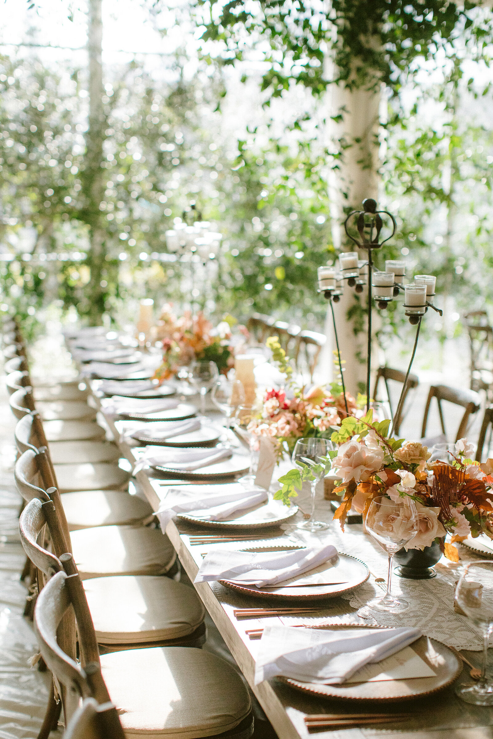 tent-wedding-dallas-green-garden-ideas