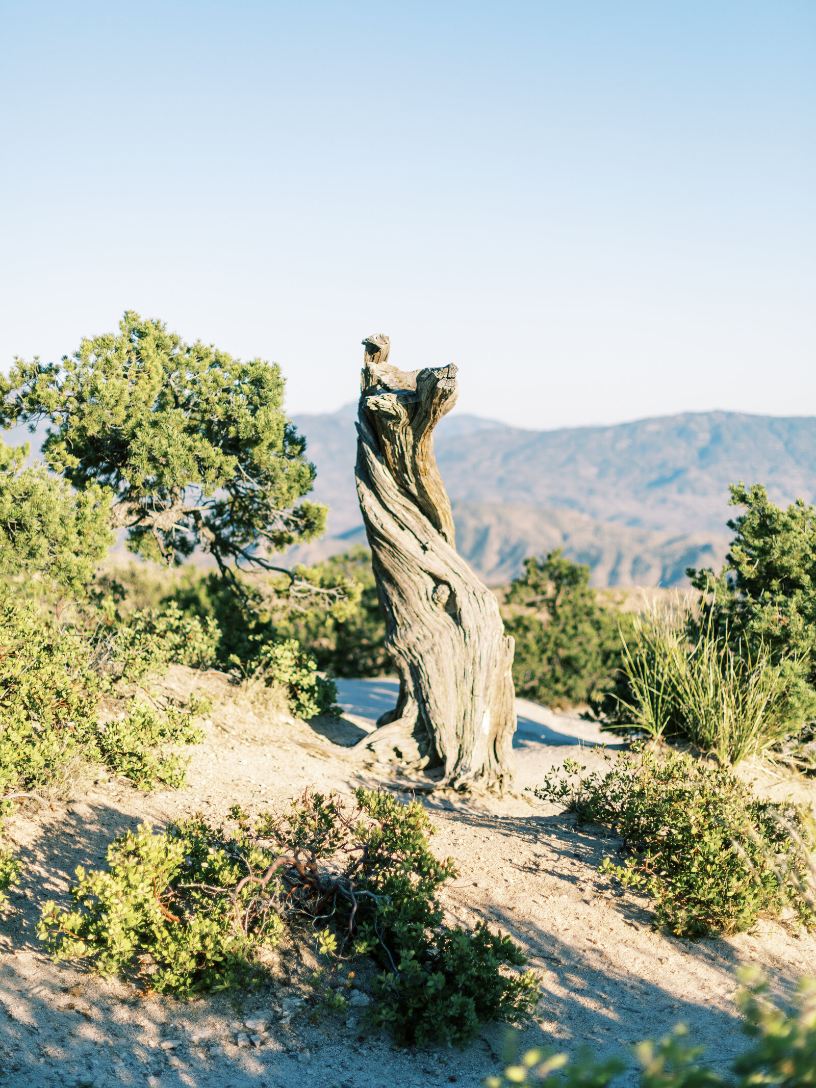 Domi&Nooria-MountLemmonEngagement-Blog-KileyHarmonPhotography (15 of 51)