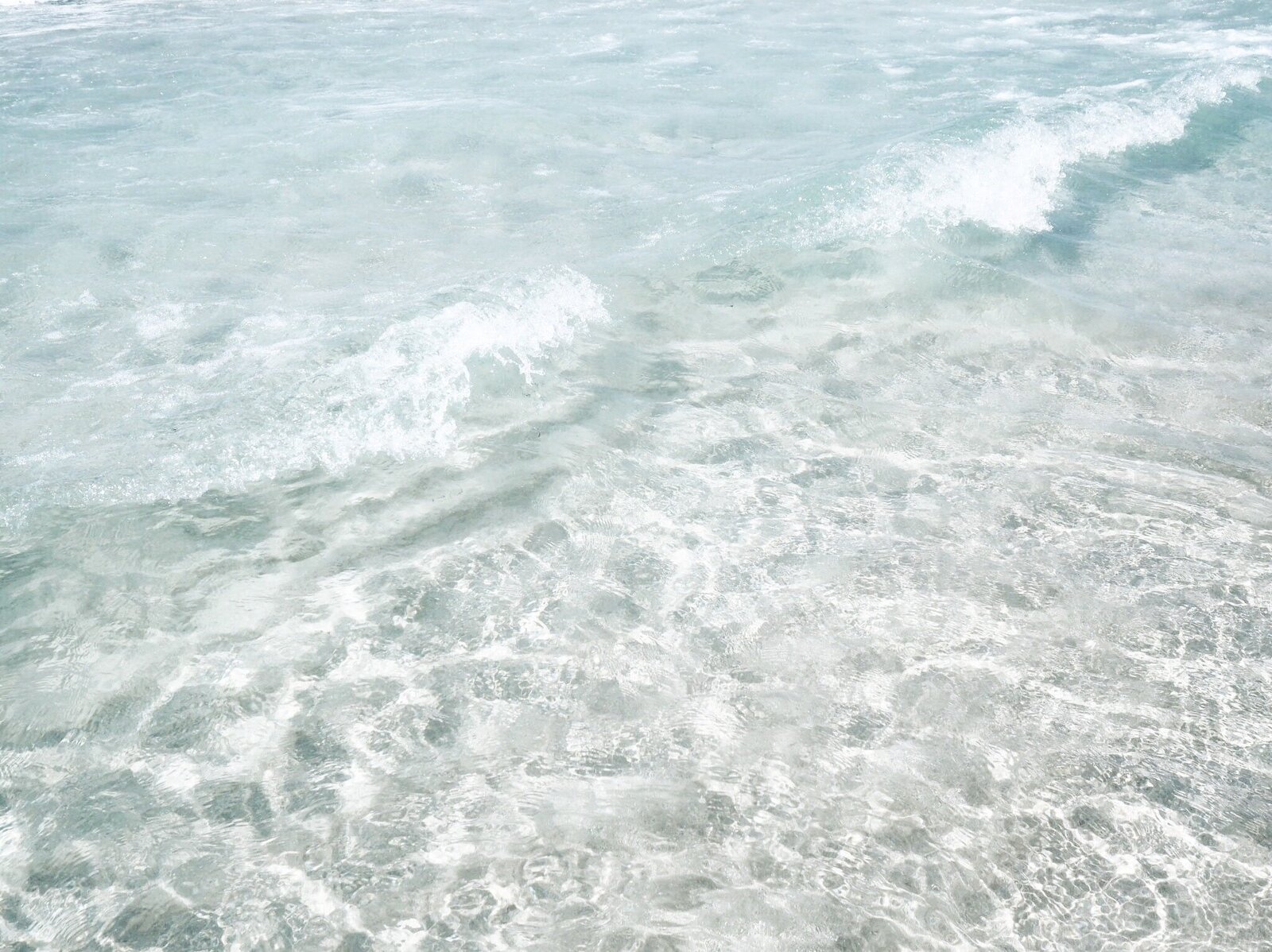elizabeth-lies-ZWPerNlqUu0-unsplash