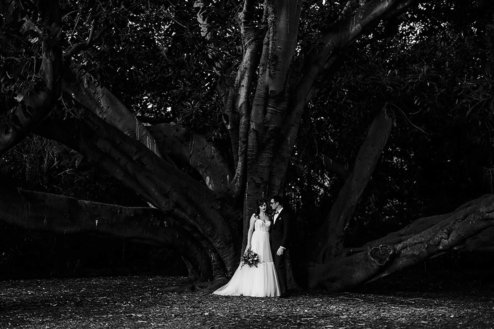 Geelong Wedding Photographer 230020