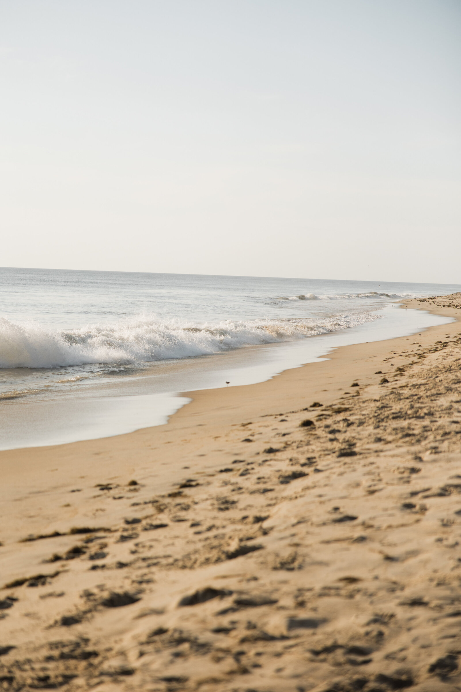 Coastal Wedding Photography OR