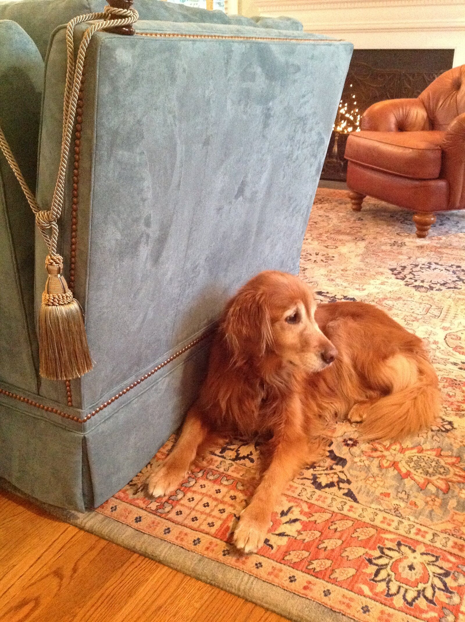 Bedeckers Interiors - Kristine Gregory - Windsor Farms
