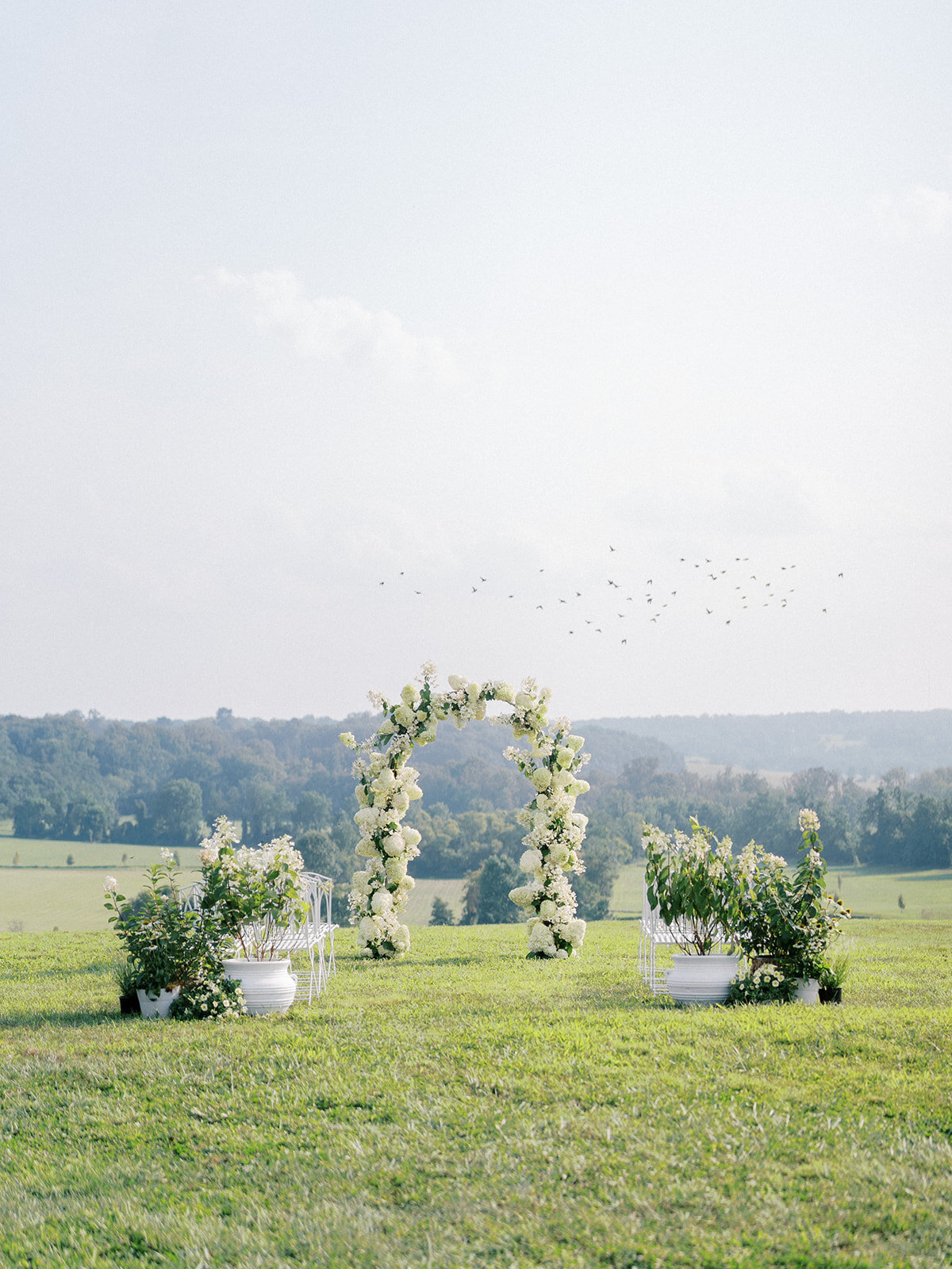 The ceremony set up at Harford Hills with a full coverage floral arch filled with white airy quick-fire hydrangea and limelight hydrangeas and potted plants at the base of the aisle.