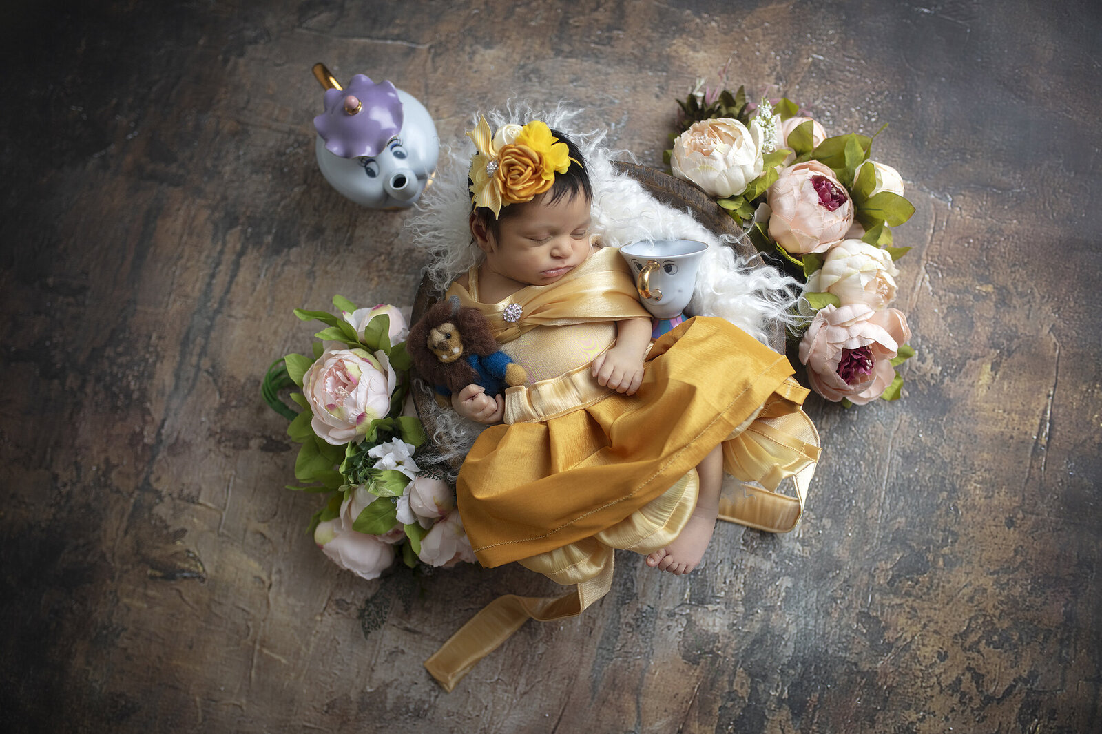 Newborn girl as Belle from Beauty and the Beast.