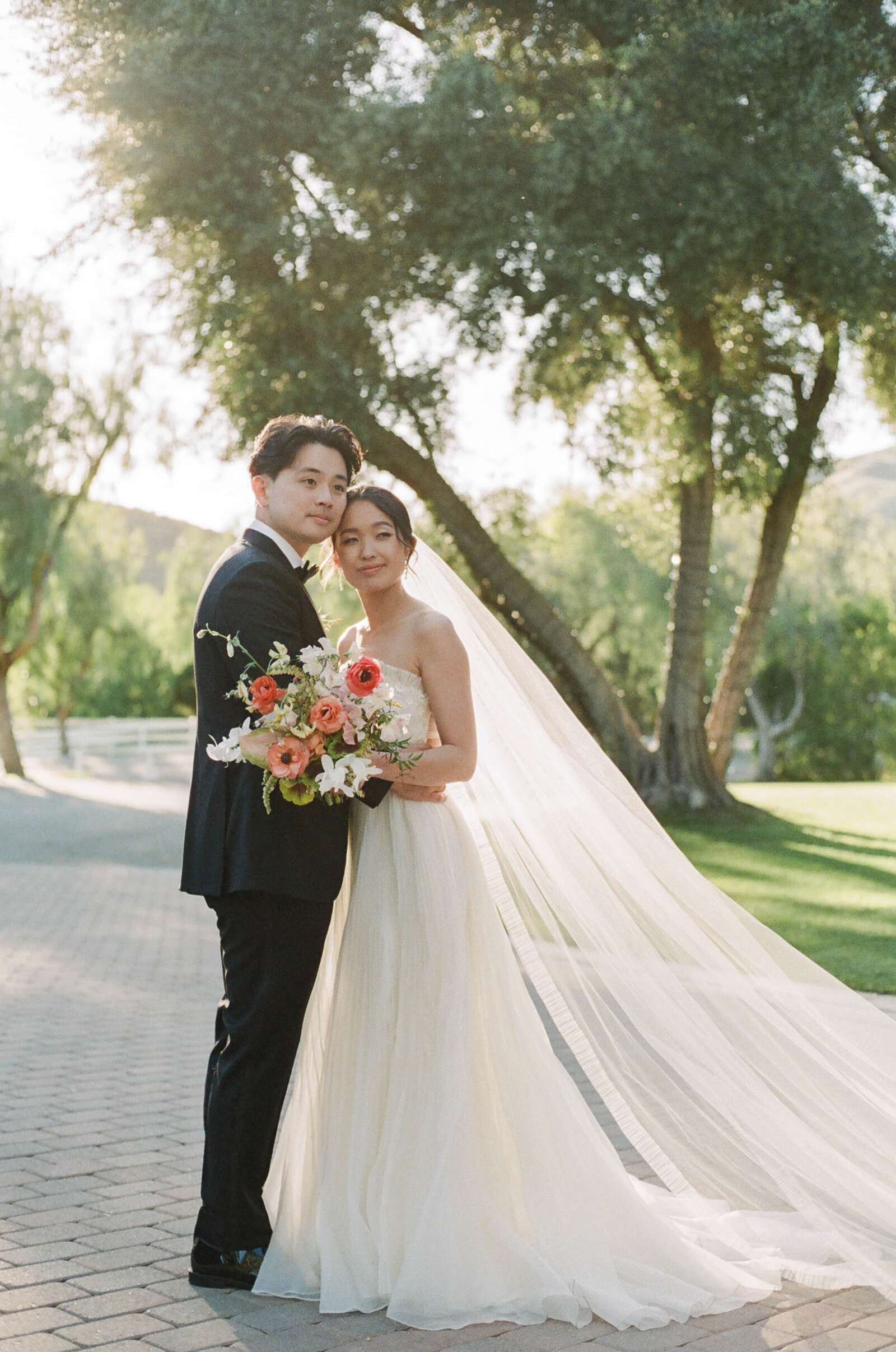 BeverlyAndreasPreviews-113 (1)