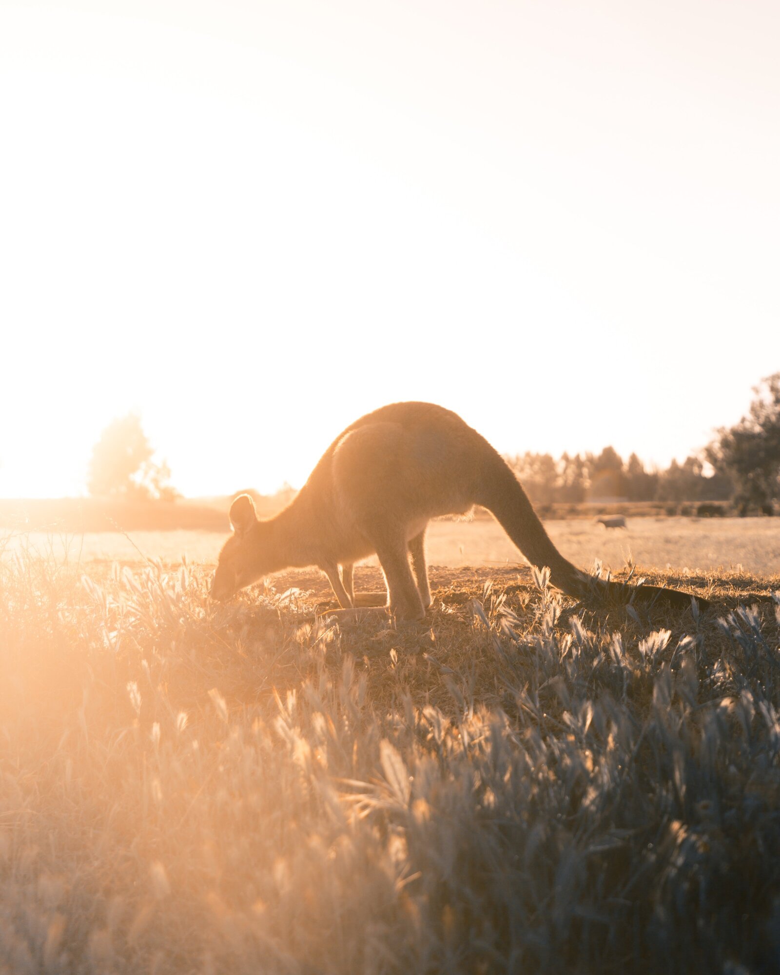 christopher-burns-31s22xbZXQU-unsplash