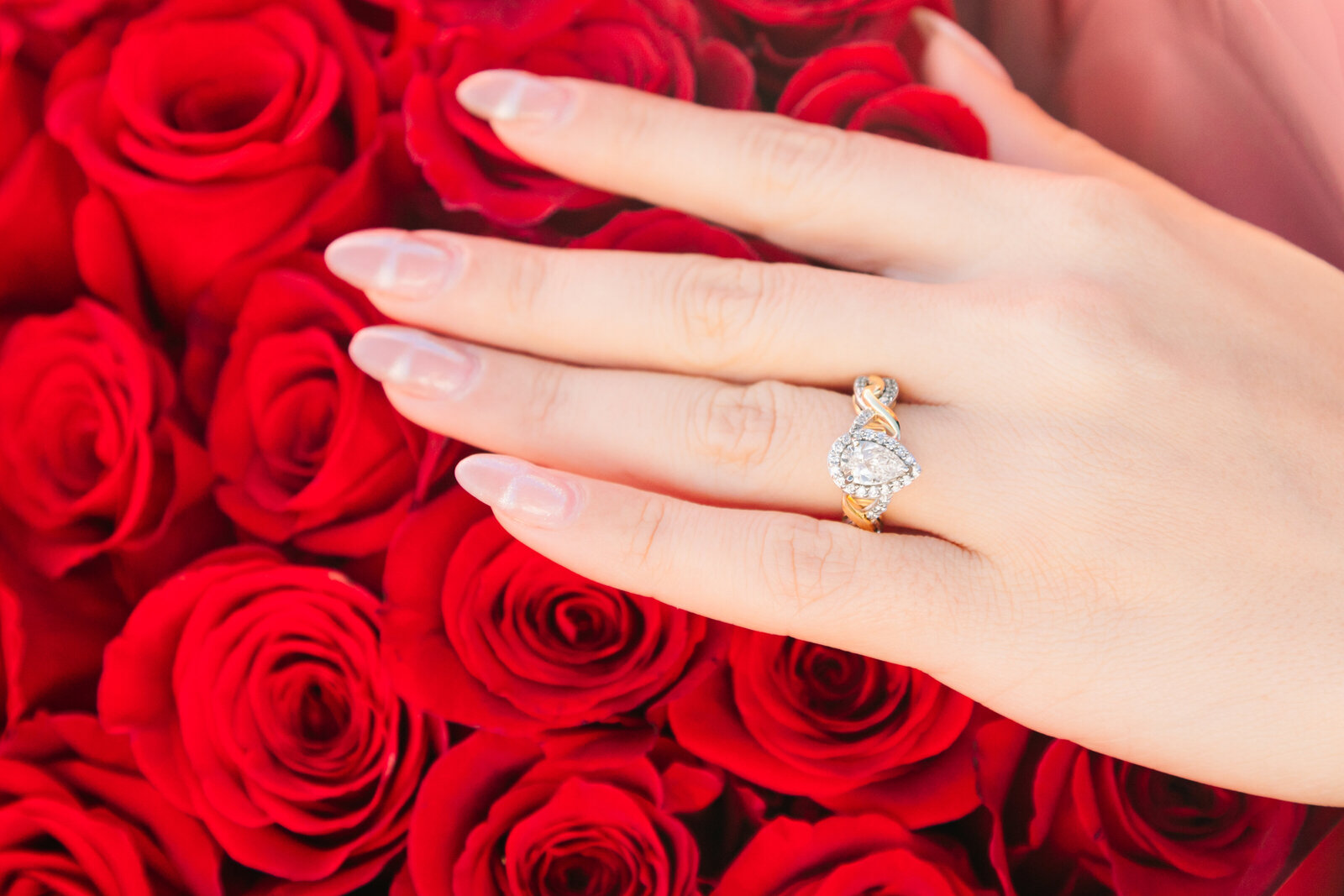San Diego Proposal-78