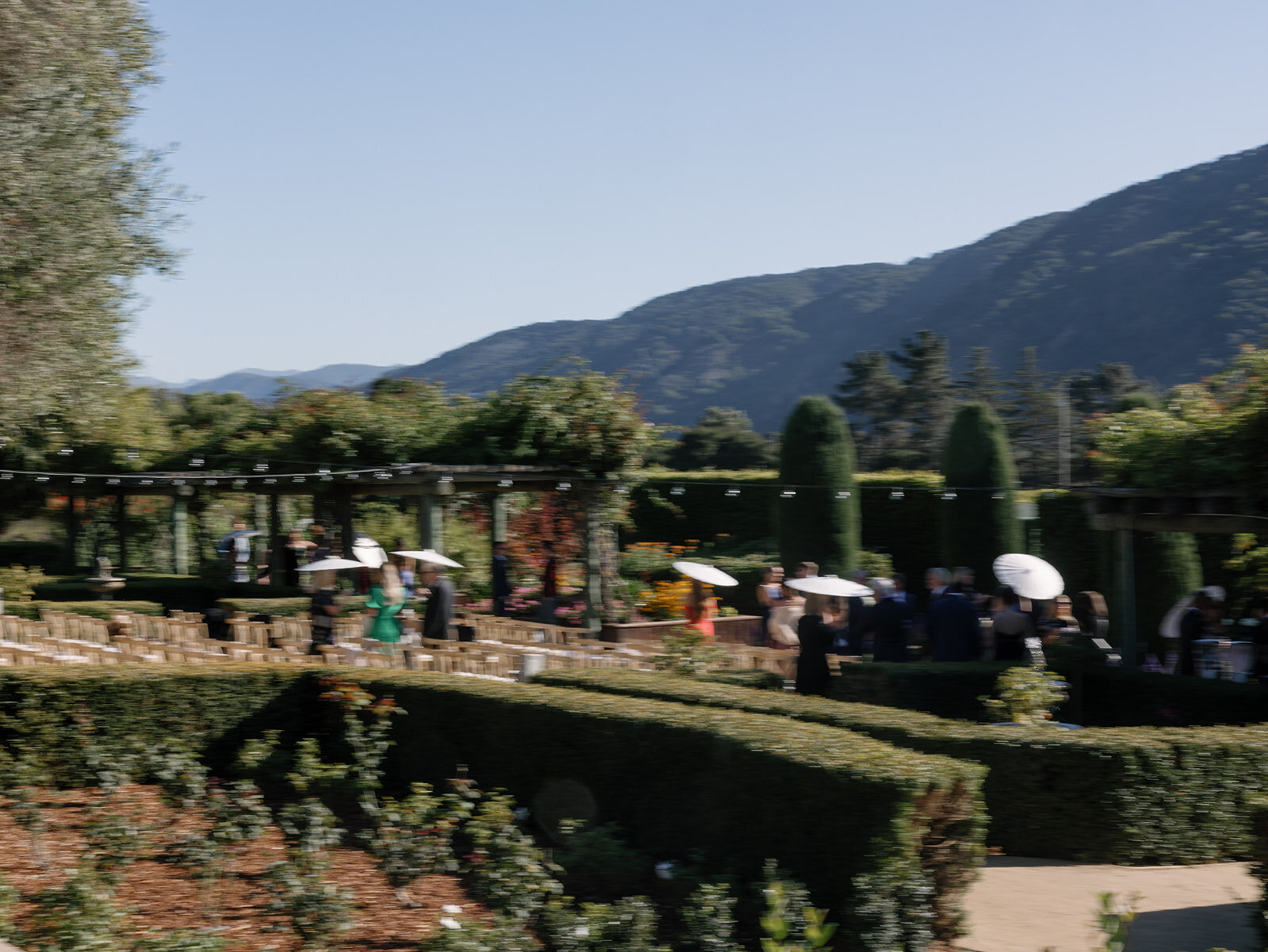 bernardus lodge carmel wedding photographer38