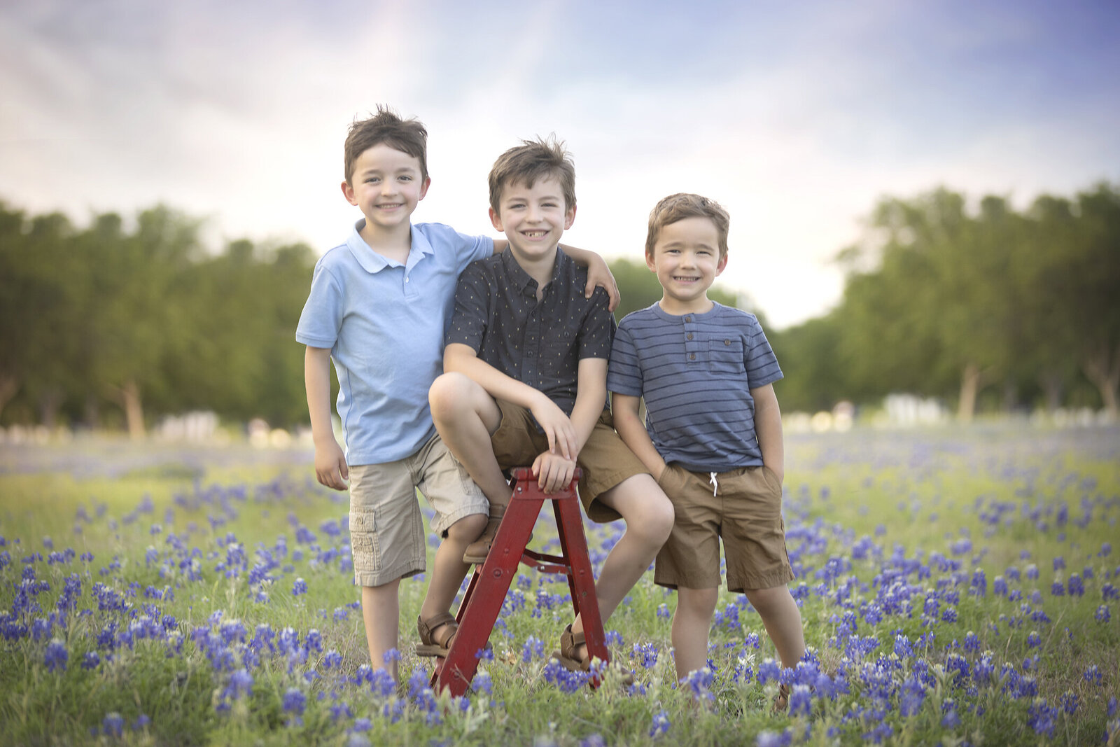 Brothers in Dallas bluebonnets, family photographer