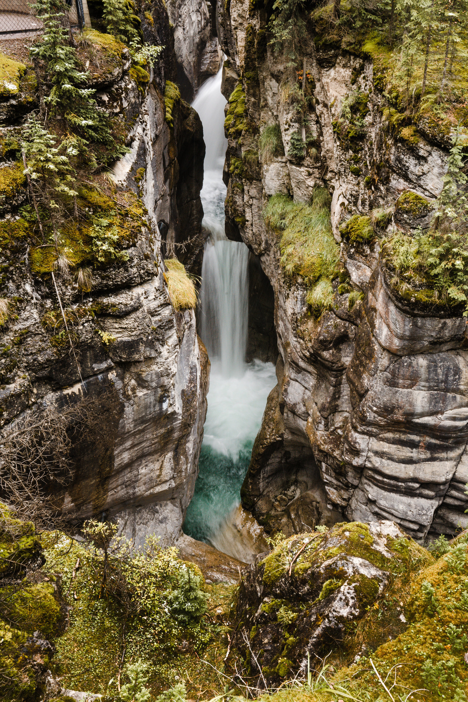 Banff_Jasper_National_Park_Sasha_Reiko_Photography-83
