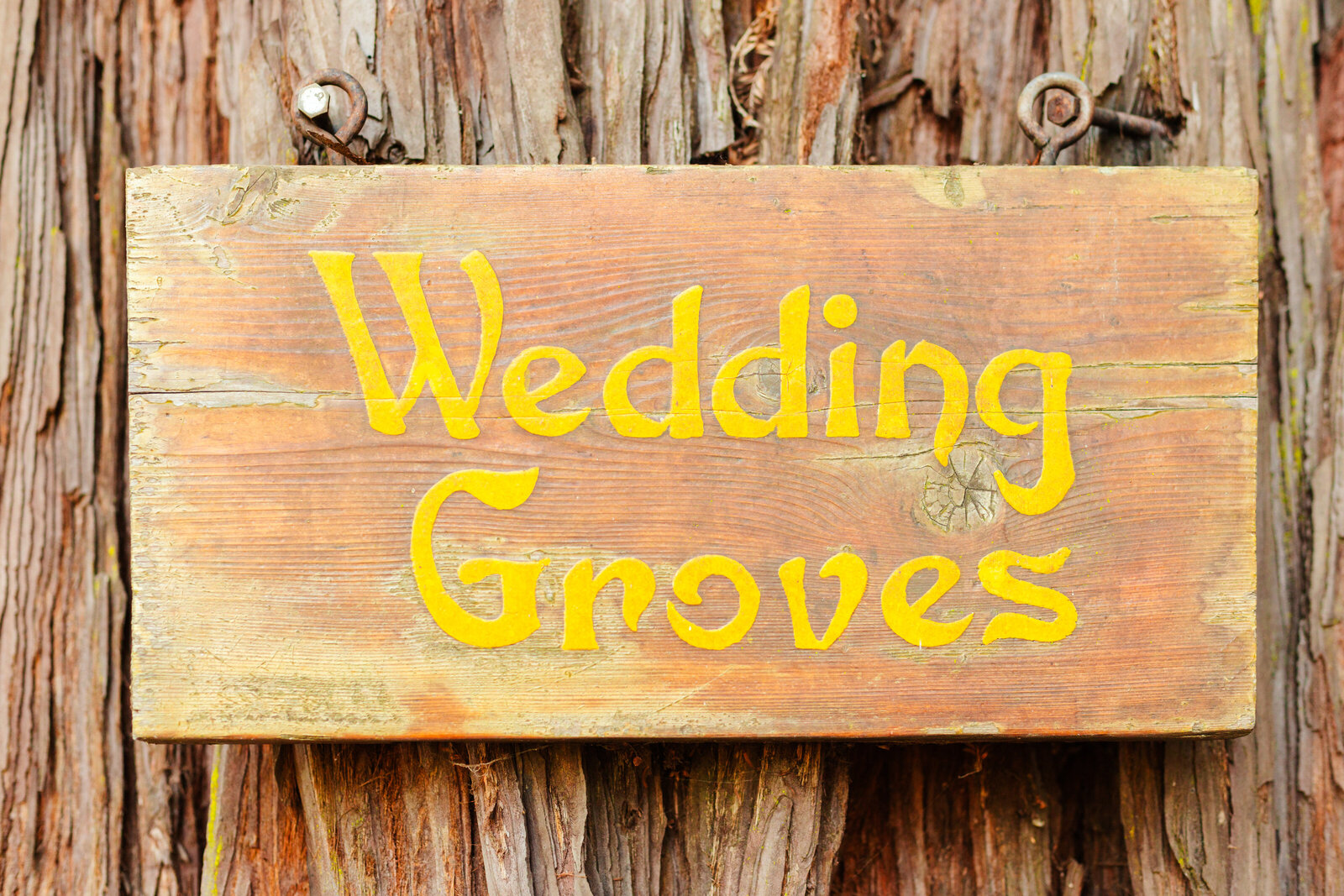 Colorful wedding details in Santa Cruz, California in the redwood trees.