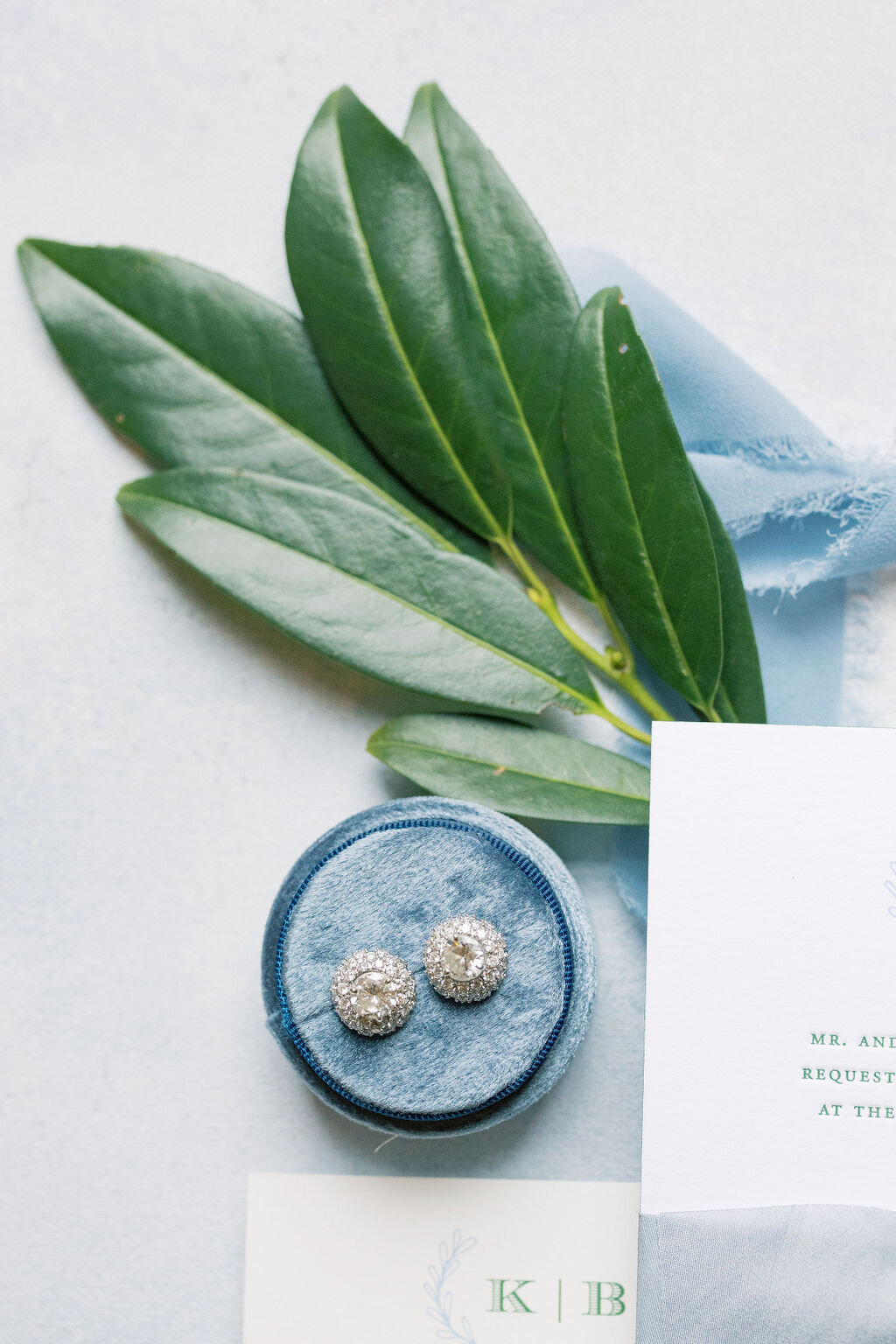 Diamond earrings on blue box with green olive branch