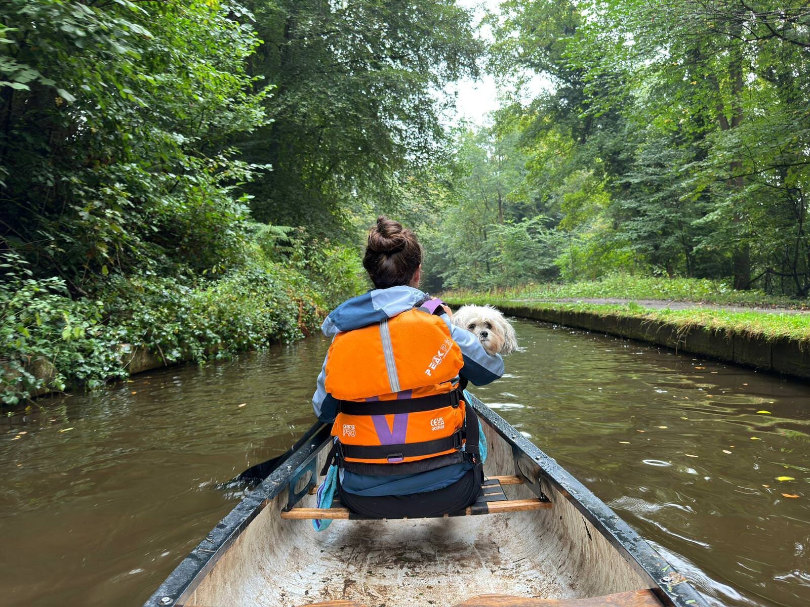 0f0a3d36-b6cf-4307-9d40-ca070edb5989