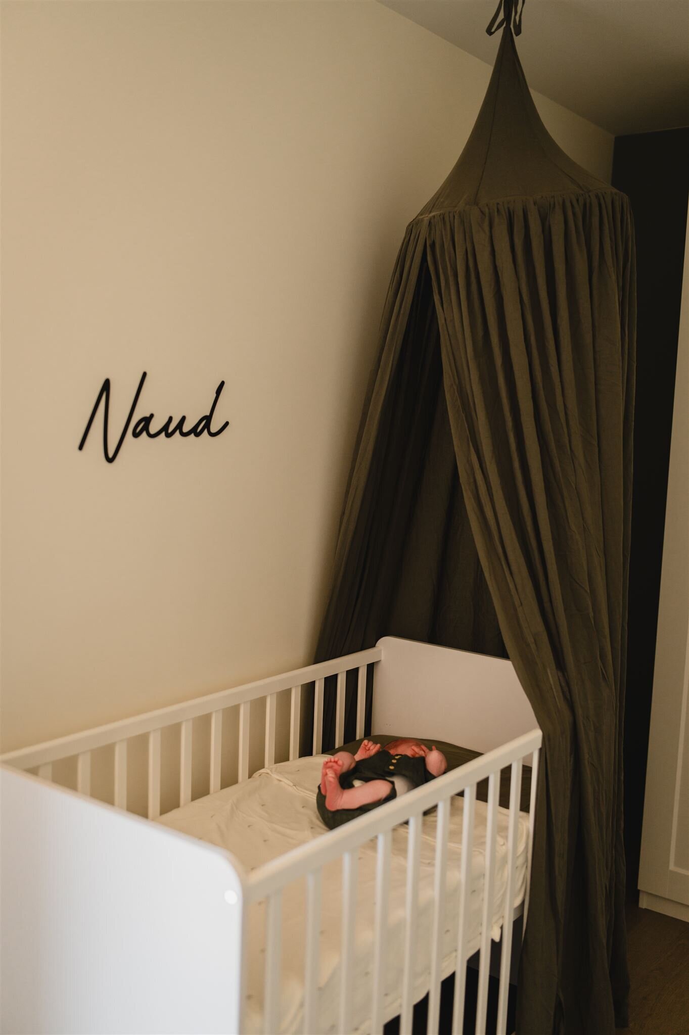 Naud-138_websize