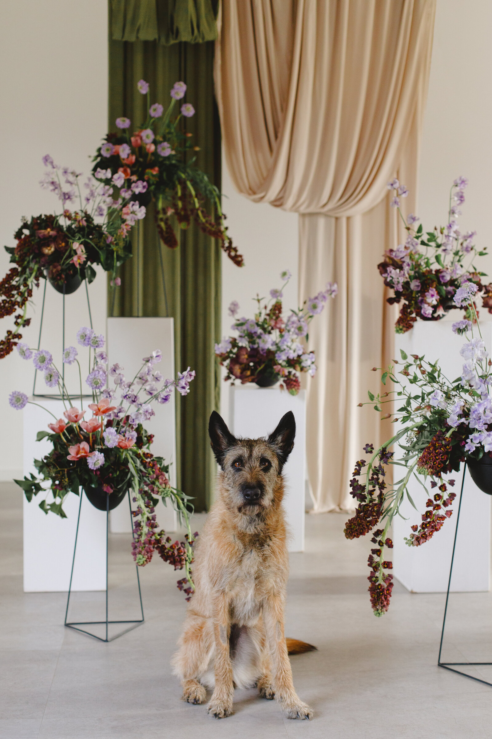 Formation novices_reconversion fleuriste_capucineatelierfloral_fleuriste_14