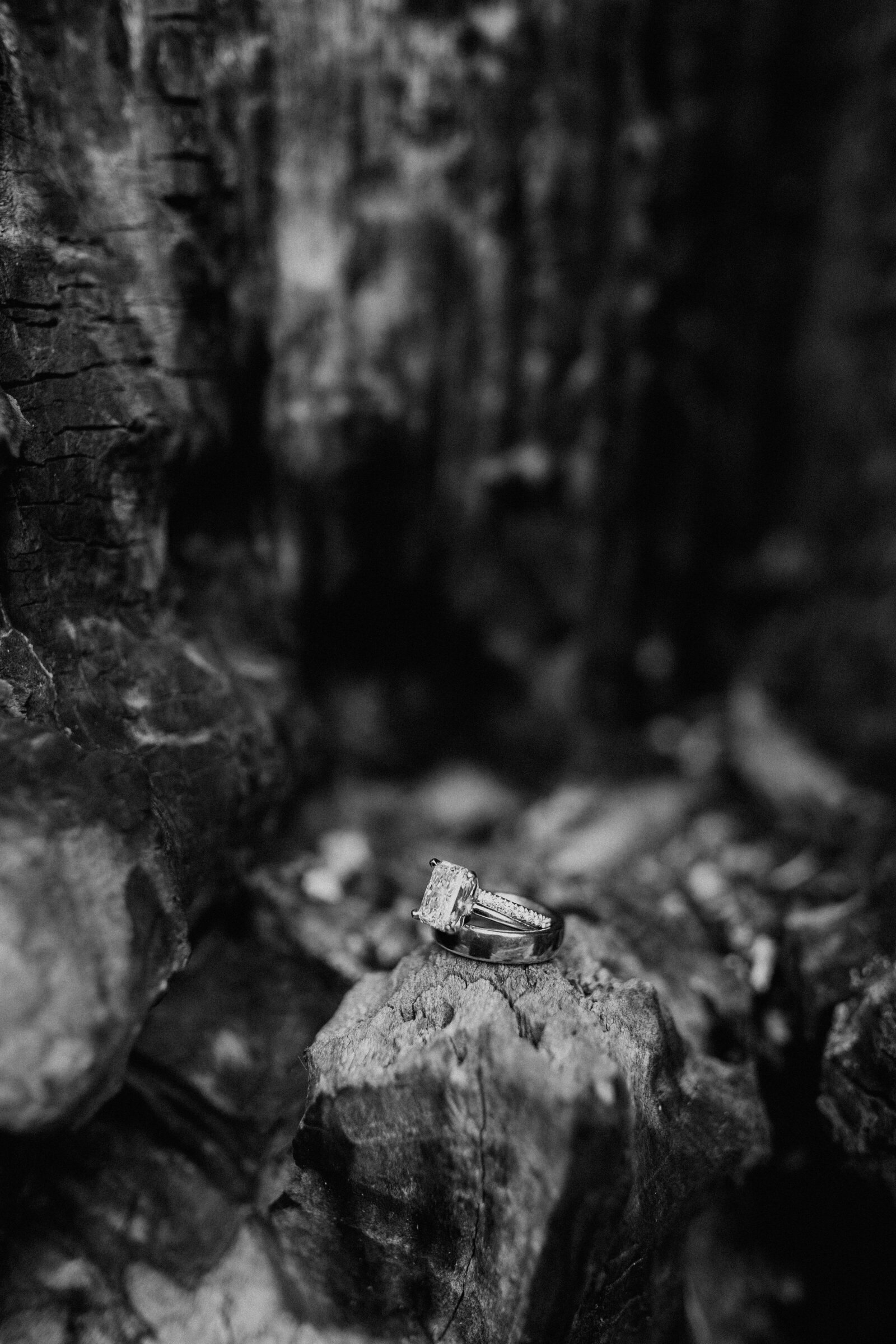 East-Tennessee-Wedding-Photographer-Videographer-Radiant-Mountain-Media-26