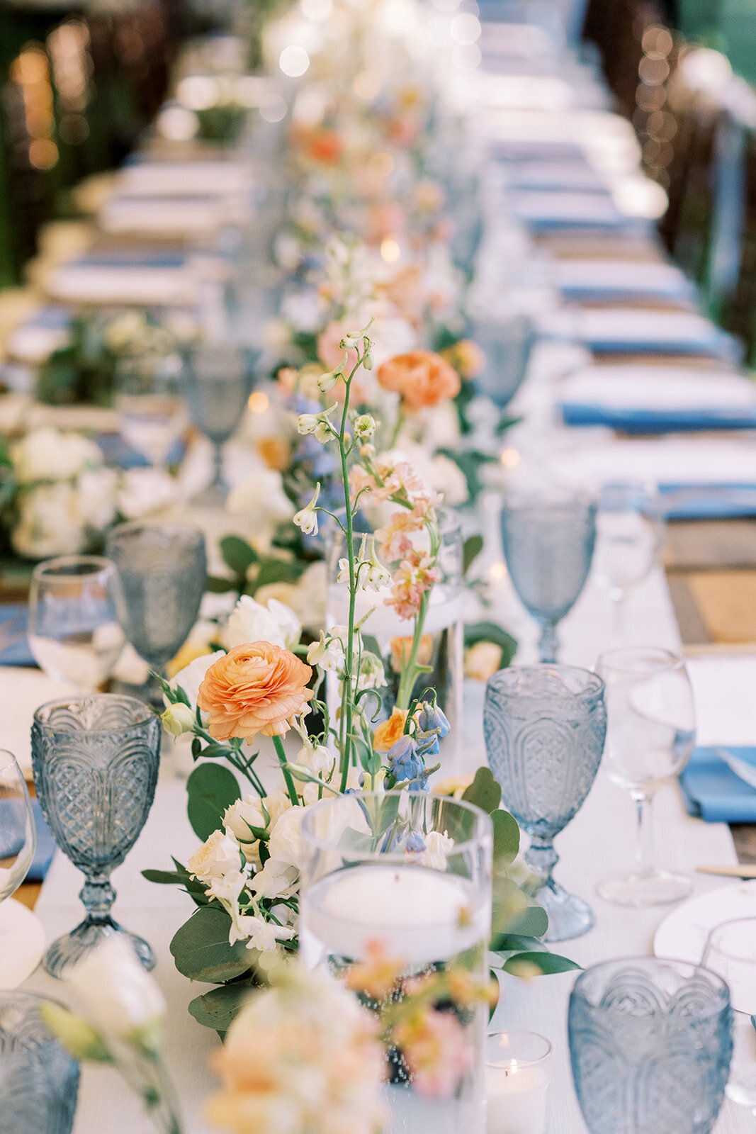 rachelpearlmanphotography_carlinivalis-2462
