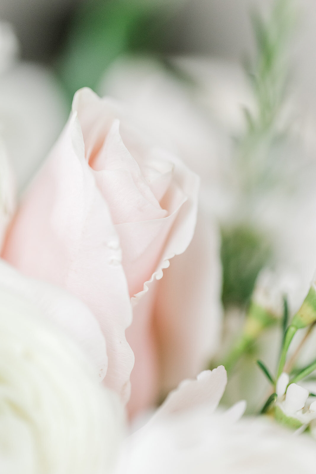 Forever Love Chicago Wedding Photographer-9