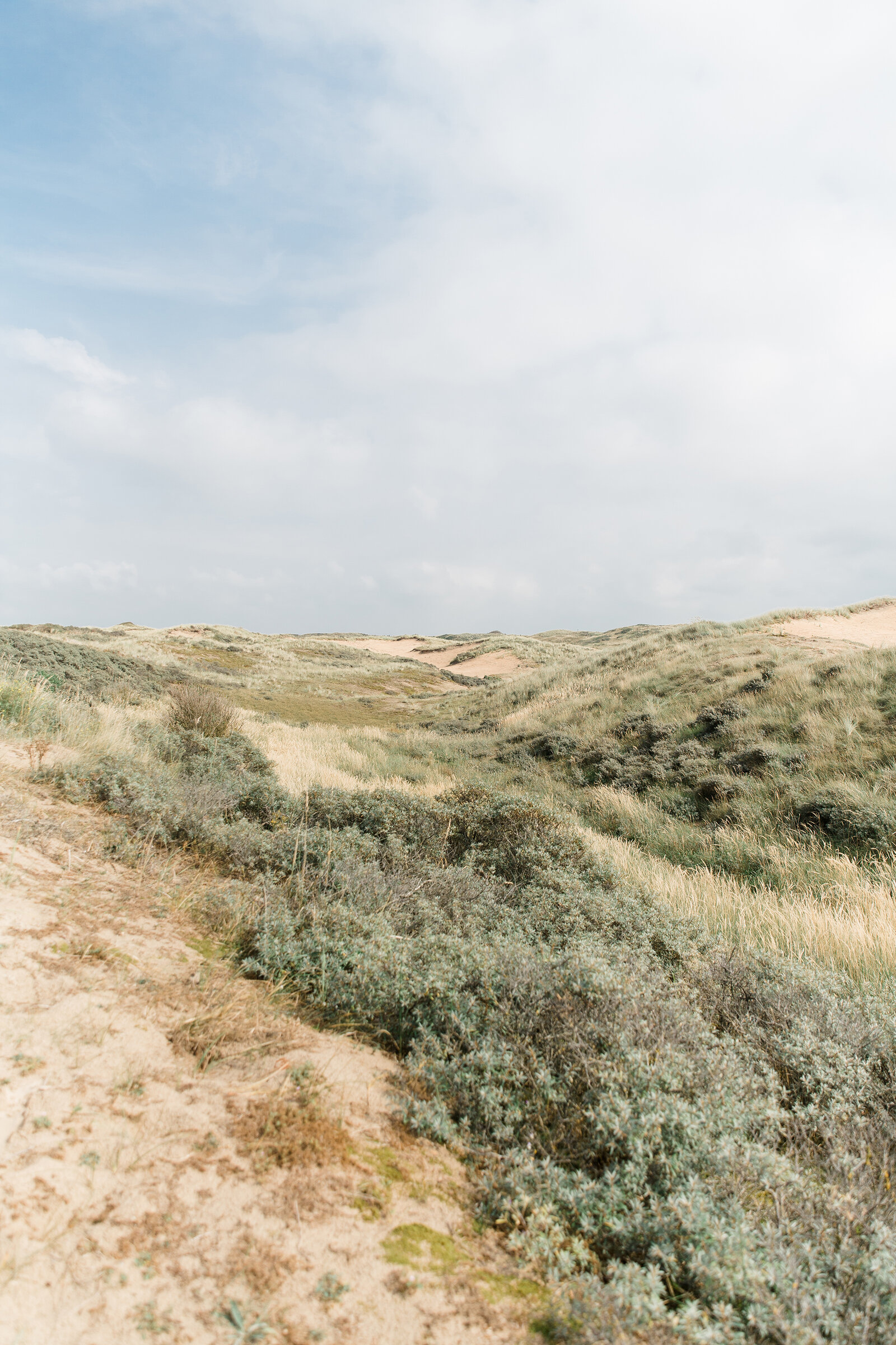 babyfotograaf zwangerschapsfotograaf noord holland