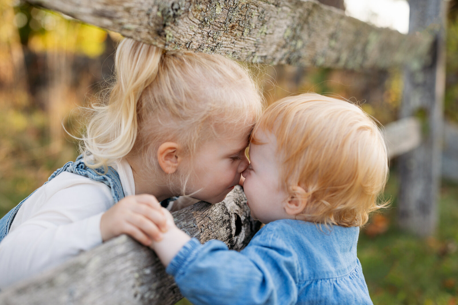 Boston Family Photographer Alana Sousa--47