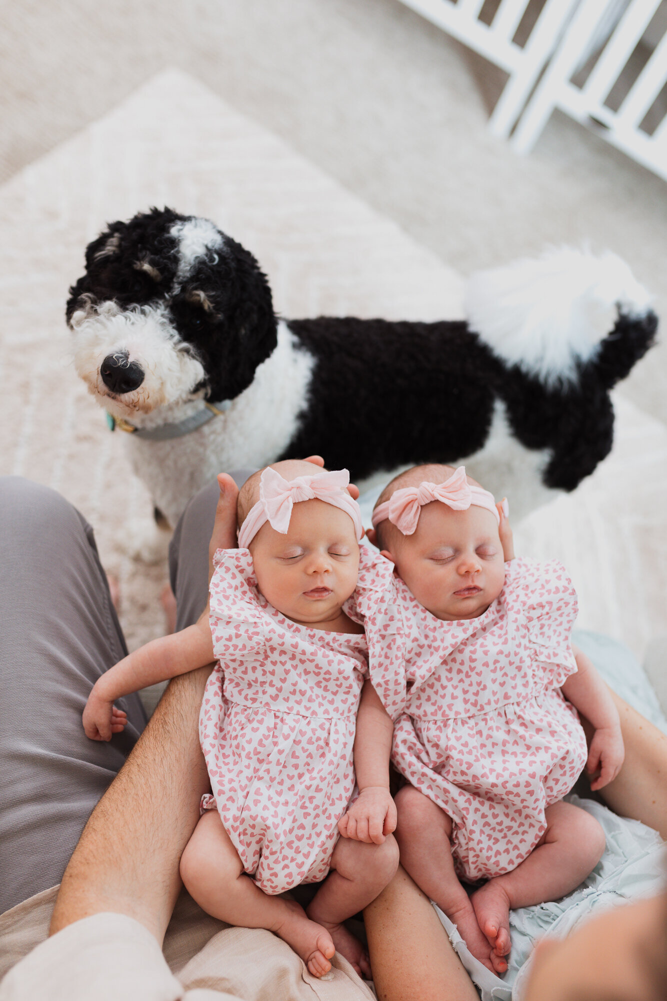 Boston Newborn Photography--79
