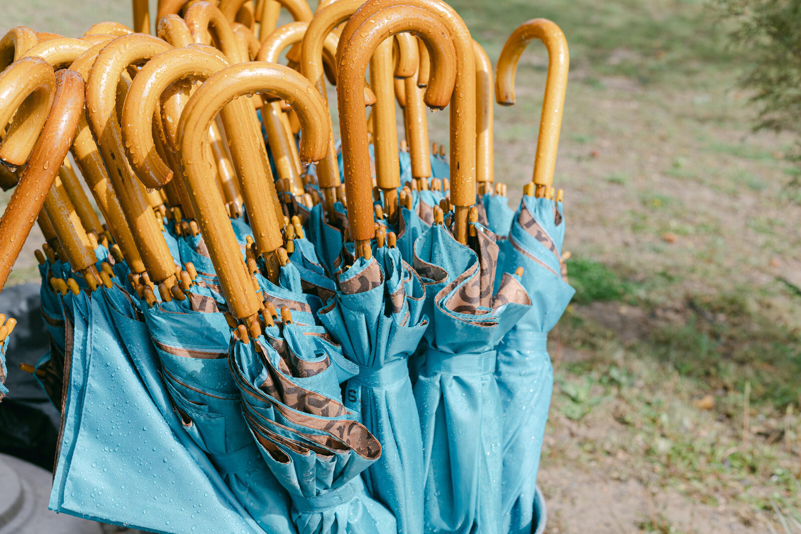 Bishops-Lodge-Santa-Fe-New-Mexico-Wedding-Coryn-Kiefer-Photography-57