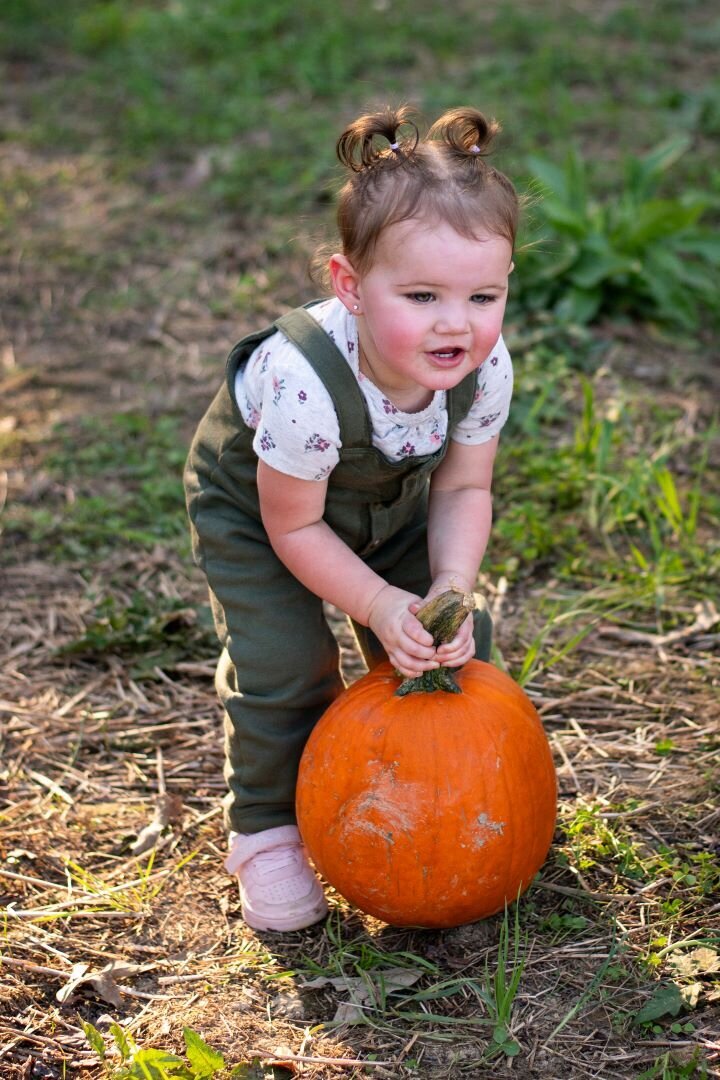 Fall_Photos_Sevierville