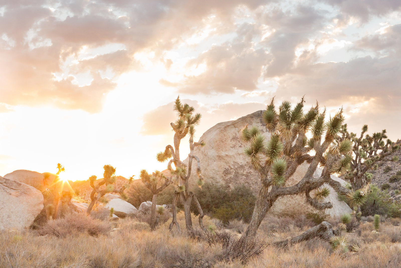 Joshua Tree Sunrise | Be A Peach Boudoir | San Diego Boudoir Photographer