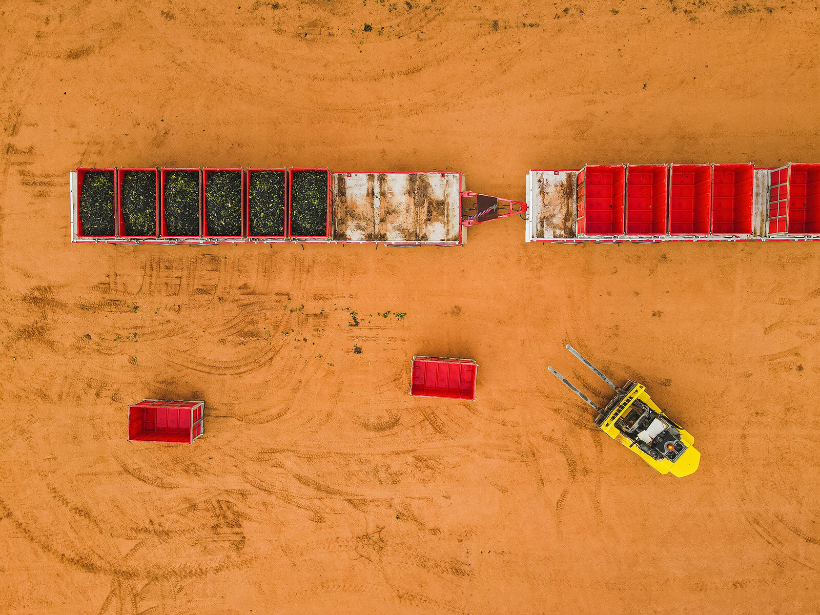 DJI_0474