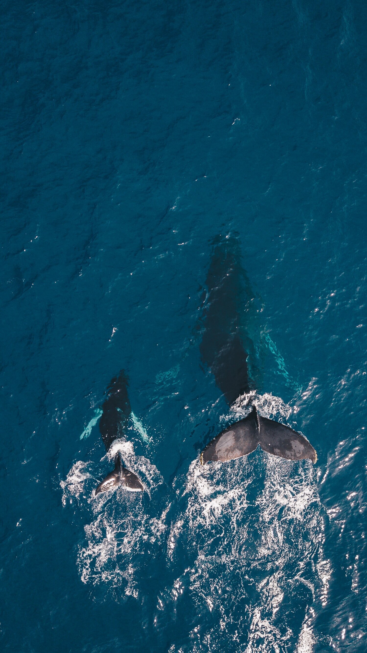 guille-pozzi-PO0UHx-5mHo-unsplash