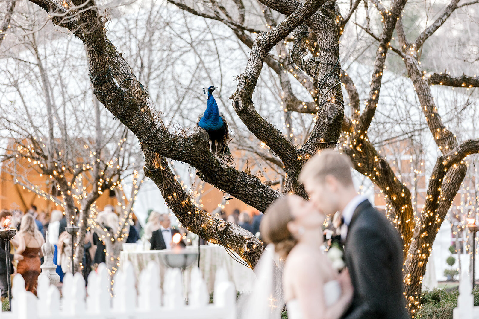 Forever Love Chicago Wedding Photographer-124