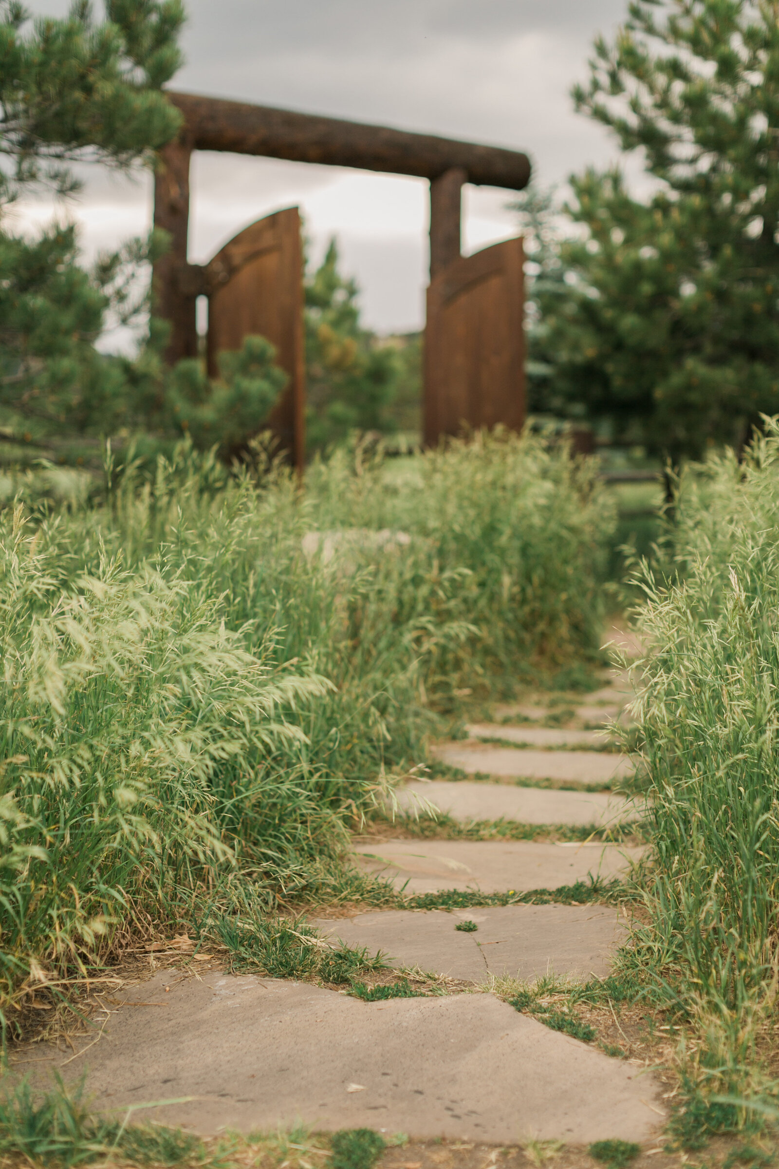 Arizona Wedding Photographer 2021_062421 298 GH1_9722