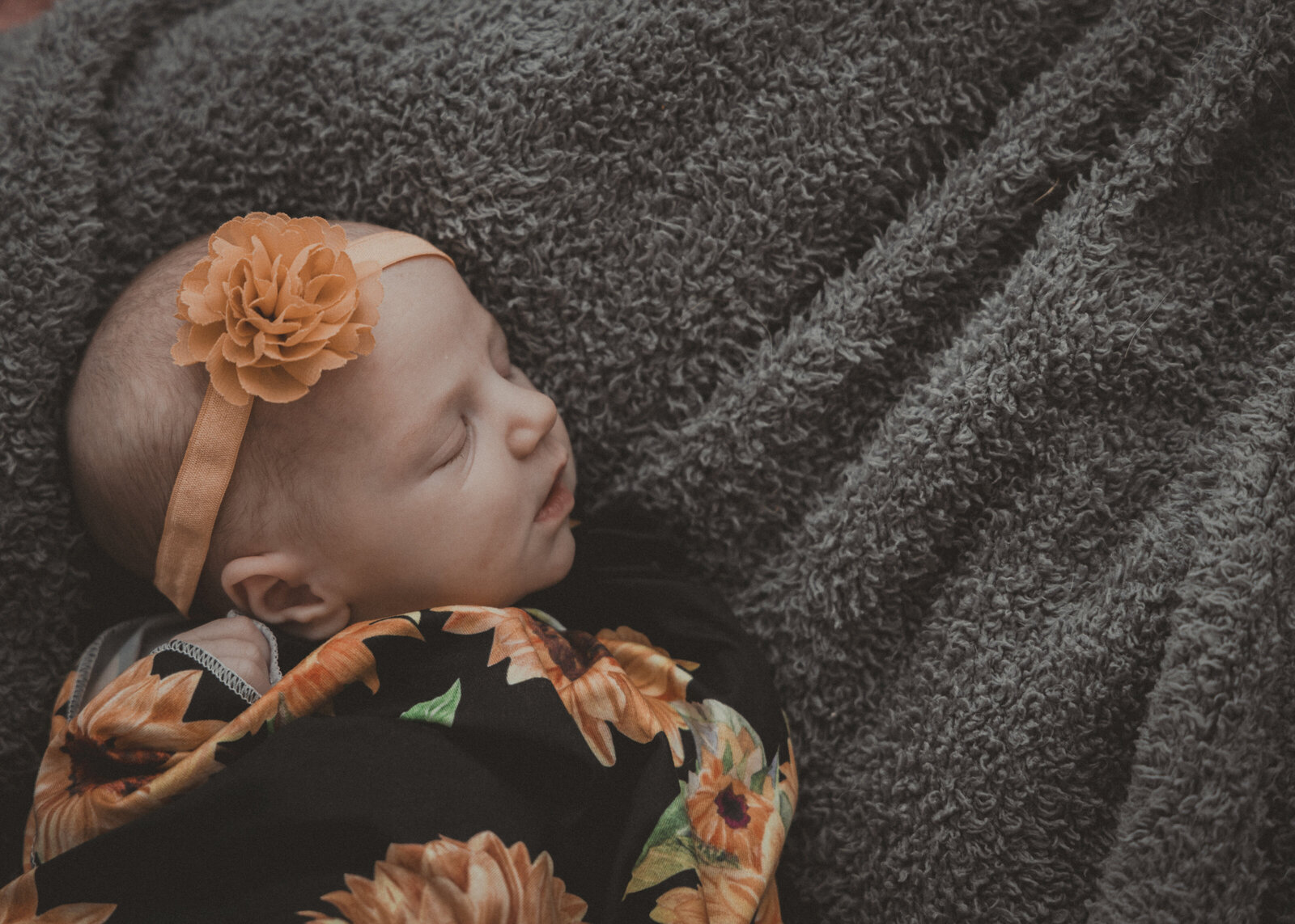 baby newborn portrait 2
