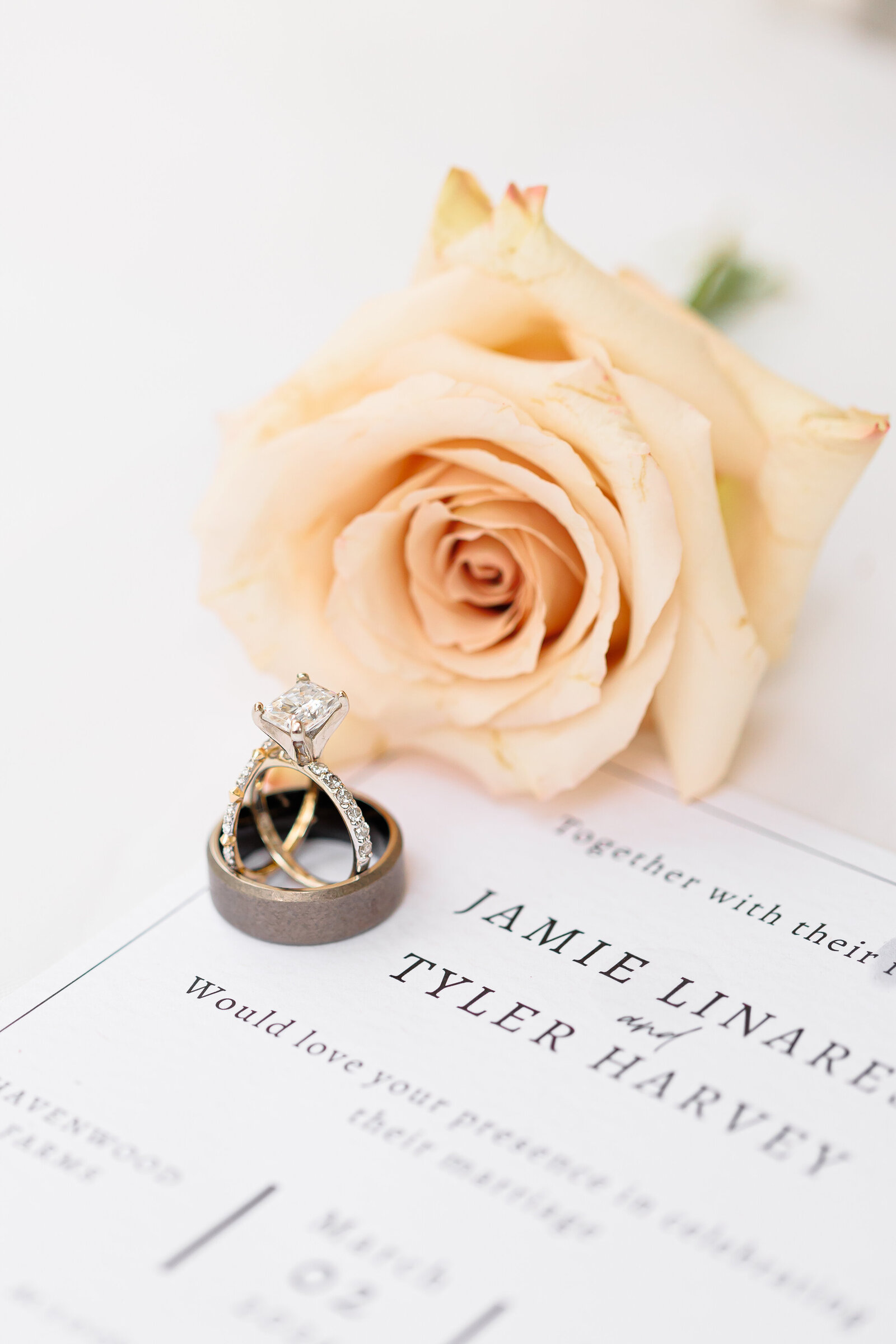 tampa-wedding-florida-wedding-venue-florida-urban-wedding-Florida-wedding-photographer-estate-wedding3