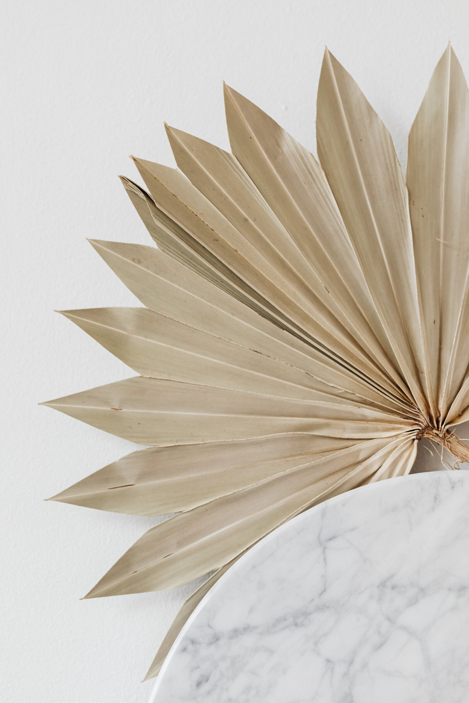 kaboompics_dried-palm-leaf-marble-shelf-backgrounds-wallpapers-21492