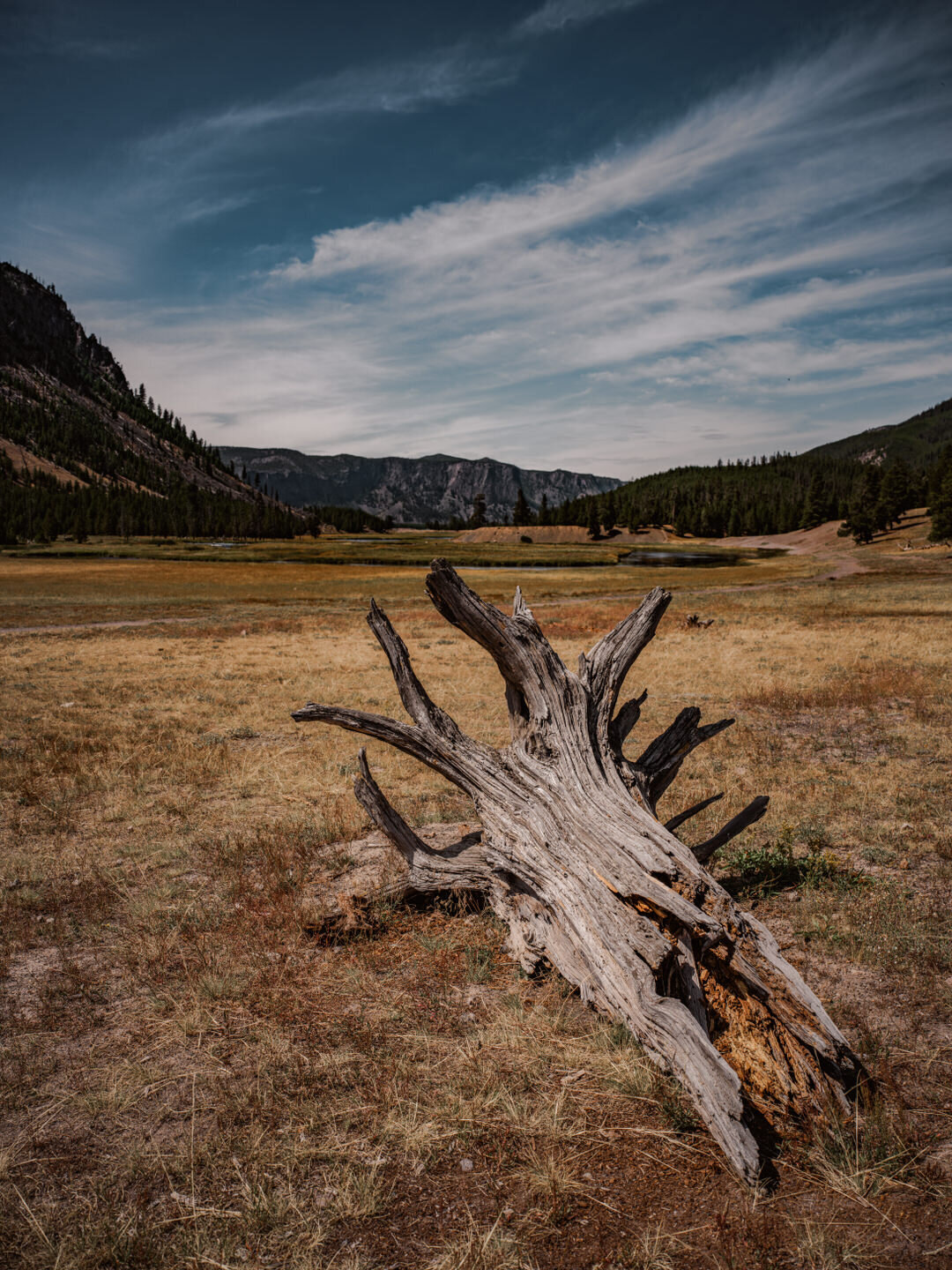 Resolute Territory - Landscape Fine Art Prints - 14