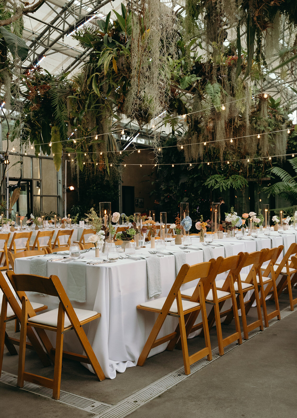 imanleeevents-sandiegoeventplanner-sandiegopartyplanner-sandiegobotanicgardens20241004_19_32_46