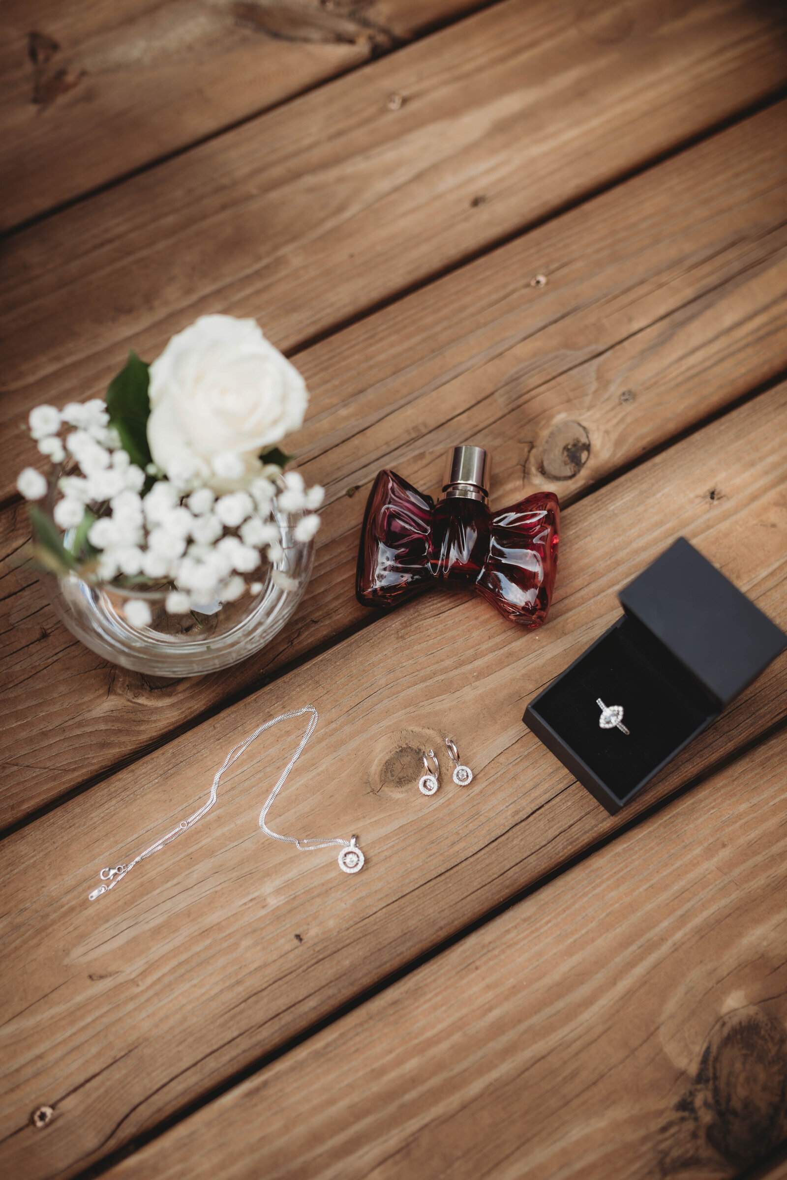 buffalo-trails-wv-wedding-photography (2)