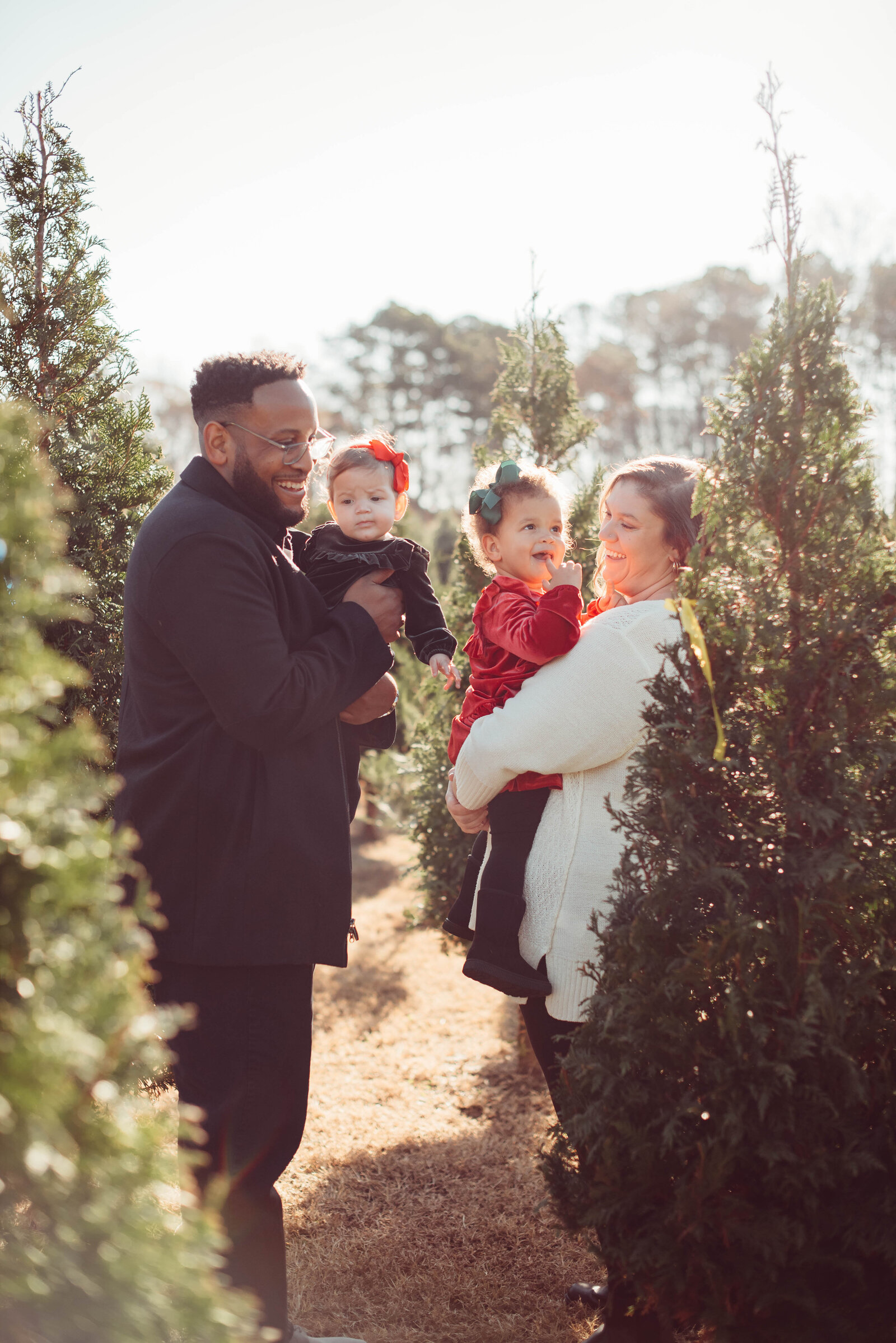 Cole Tree Farm 2023 11