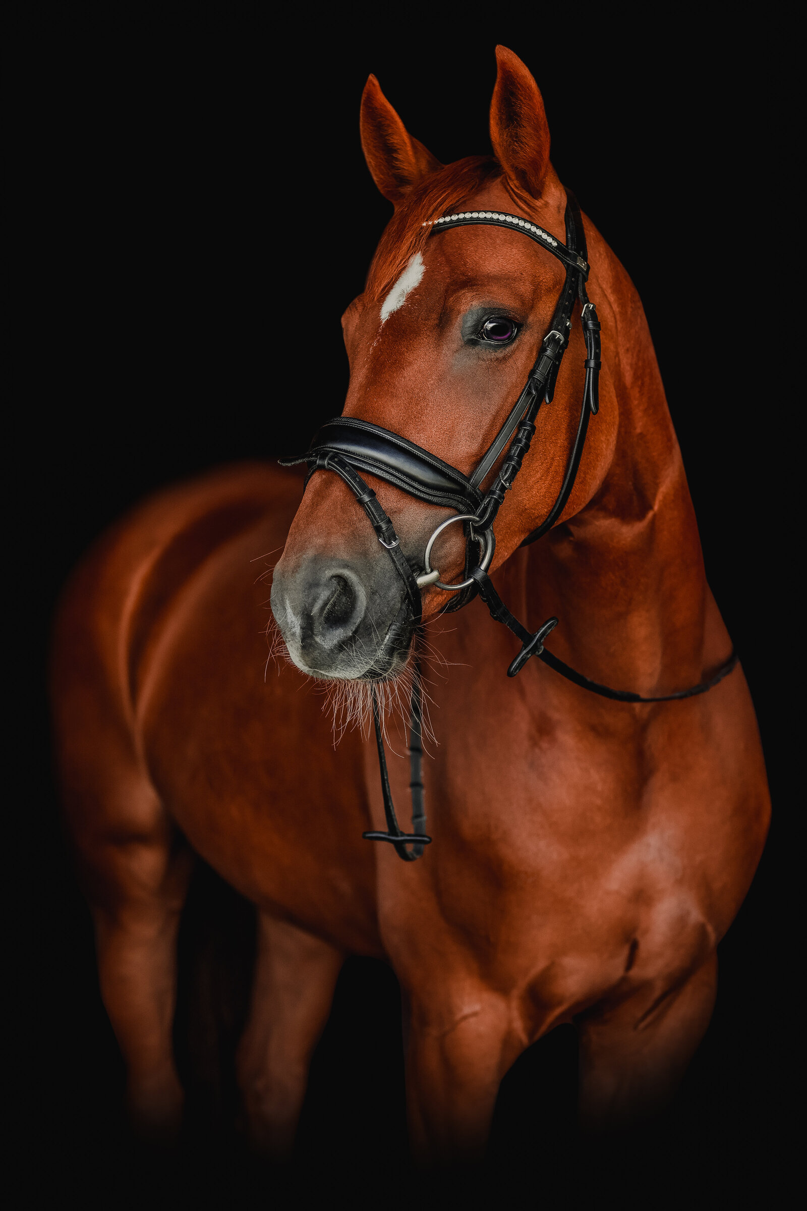 Kuor-9-Bon Ami