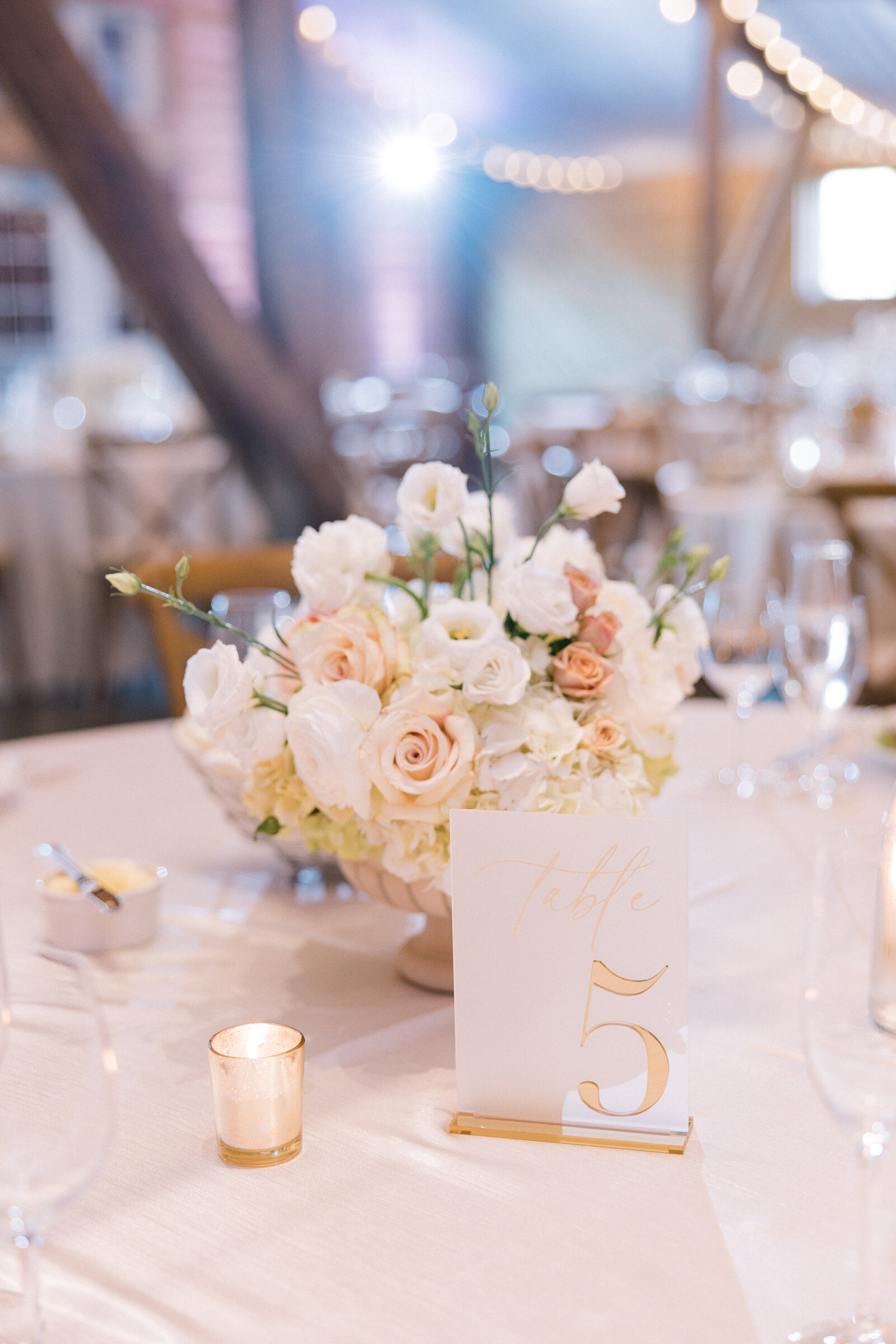 KushnerWedding_5C5A3357