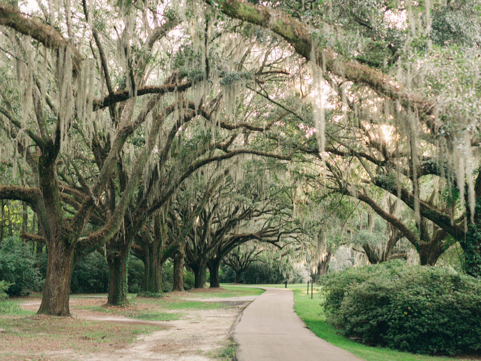 10-torianna-brooke-portraiture-legare-waring-house-charleston-wedding