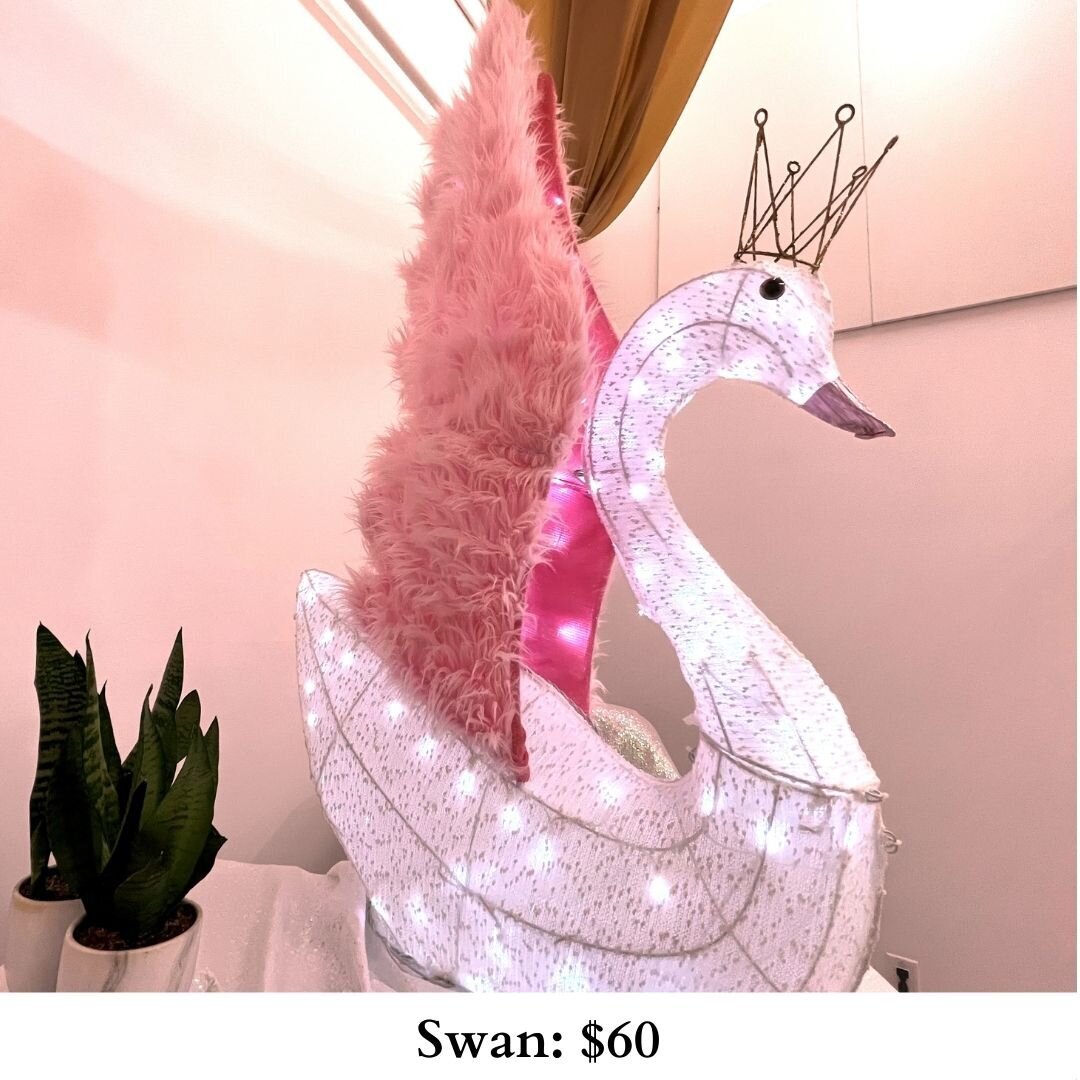 Swan-305