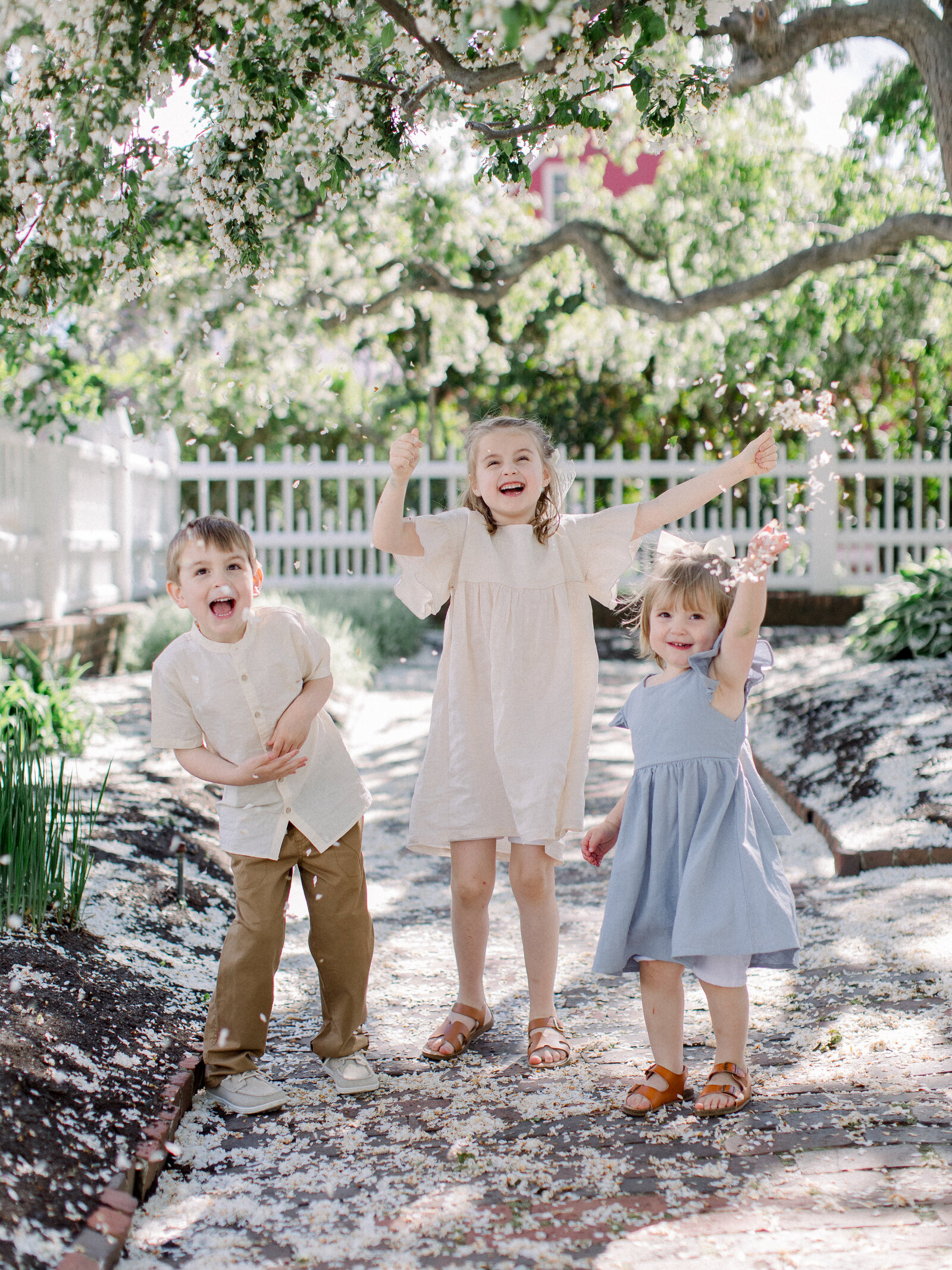 Three siblings laughing and tossing flowers in a spring garden under flowering cherry trees by NH newborn photographer Fieldstone Studio.